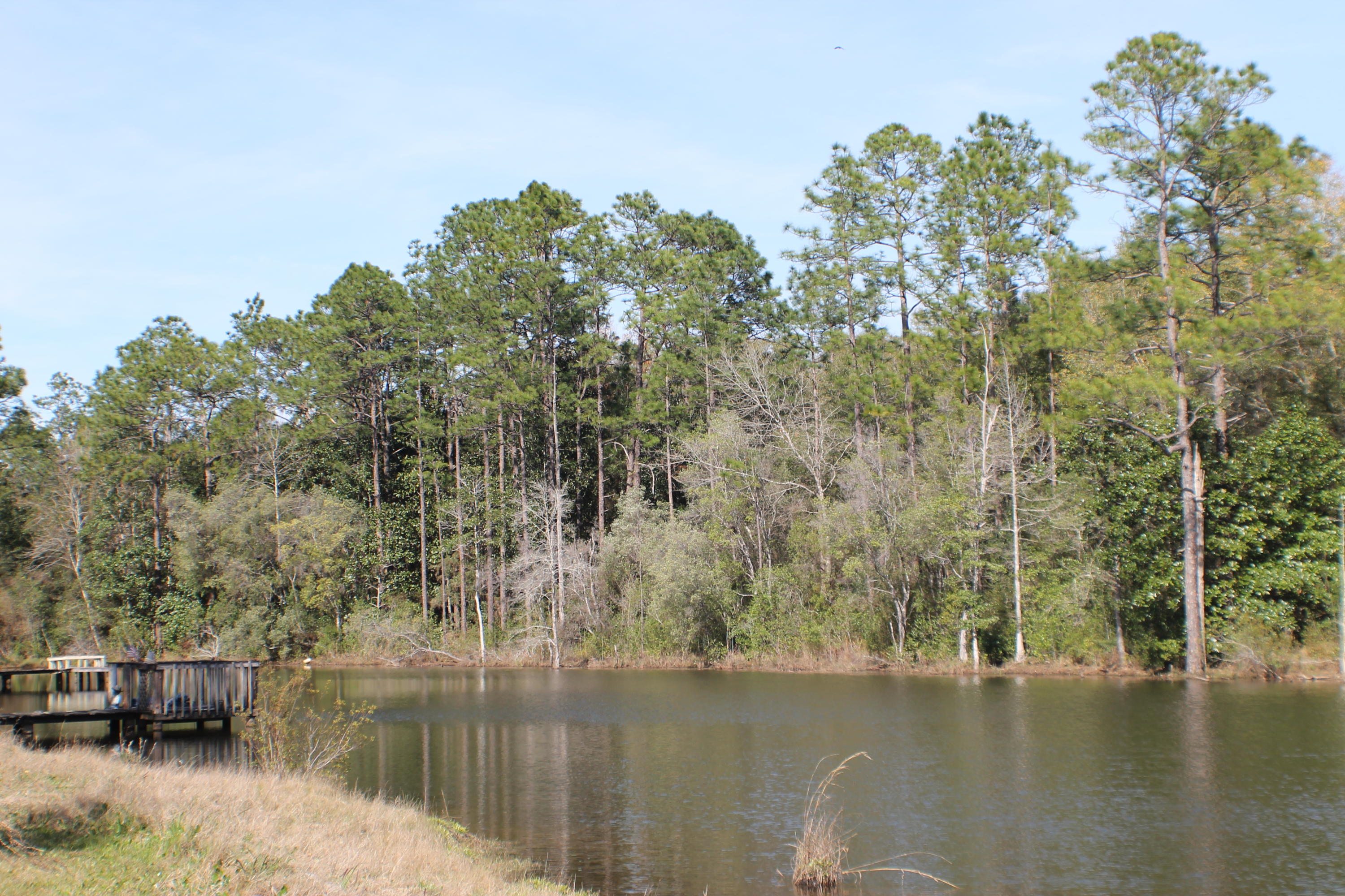 TWIN LAKES ESTATES - Land