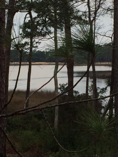 WILD HERON - Land