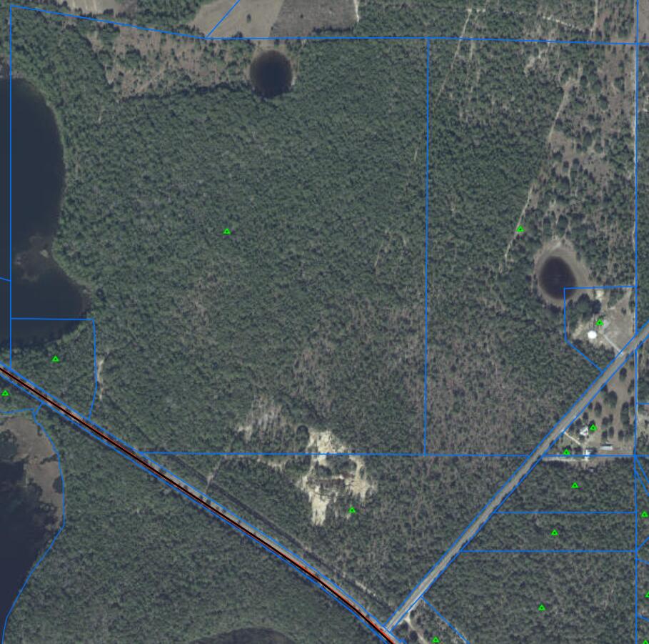 Buffalo Lake - Land