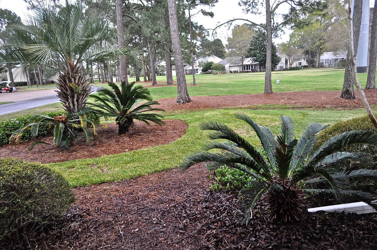 Bayou Village Phase 2 - Residential
