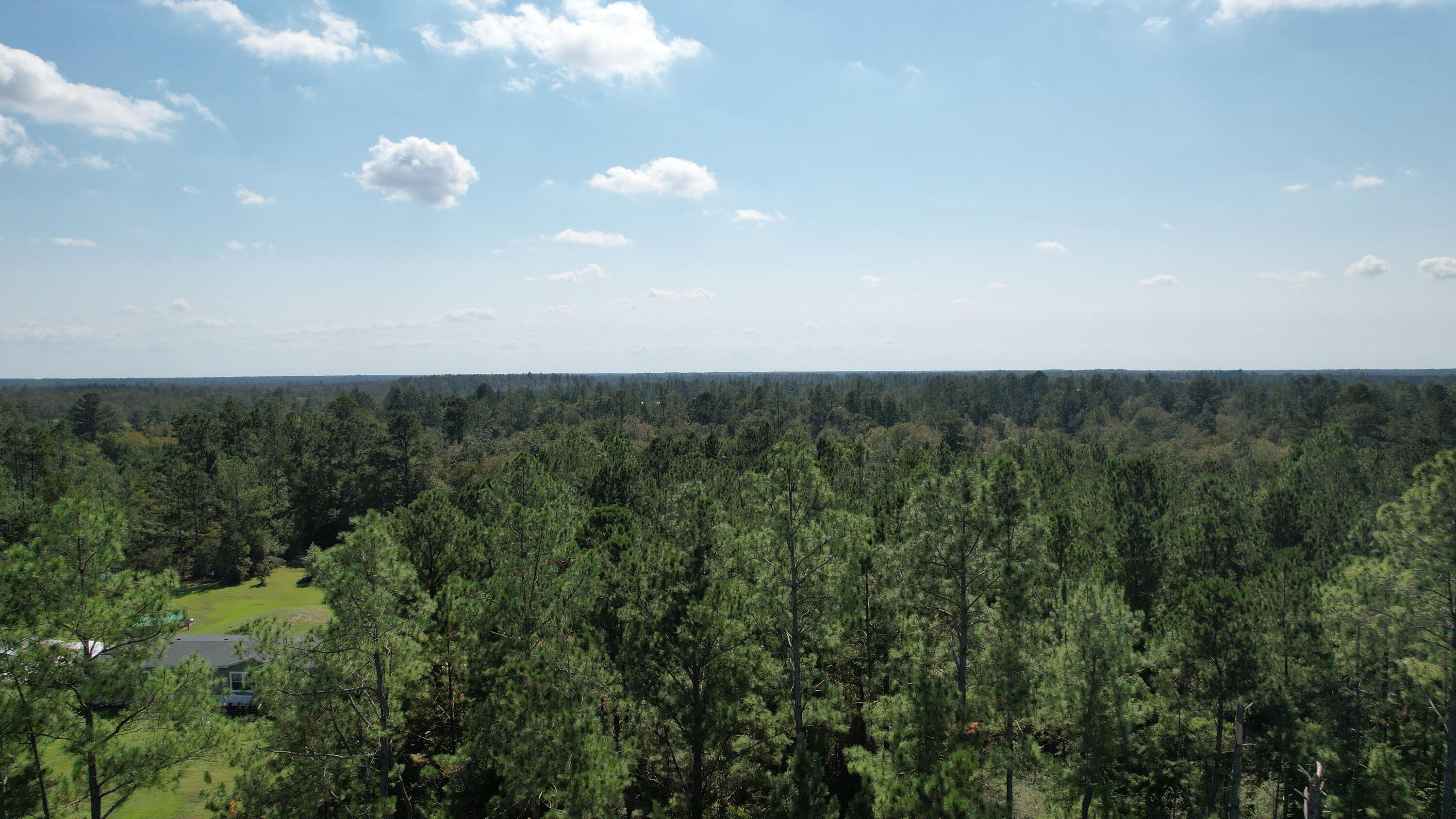 Gulf County Farms - Land
