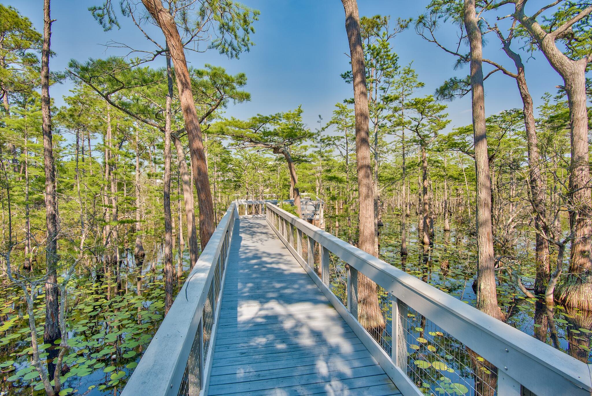 CYPRESS DUNES - Land