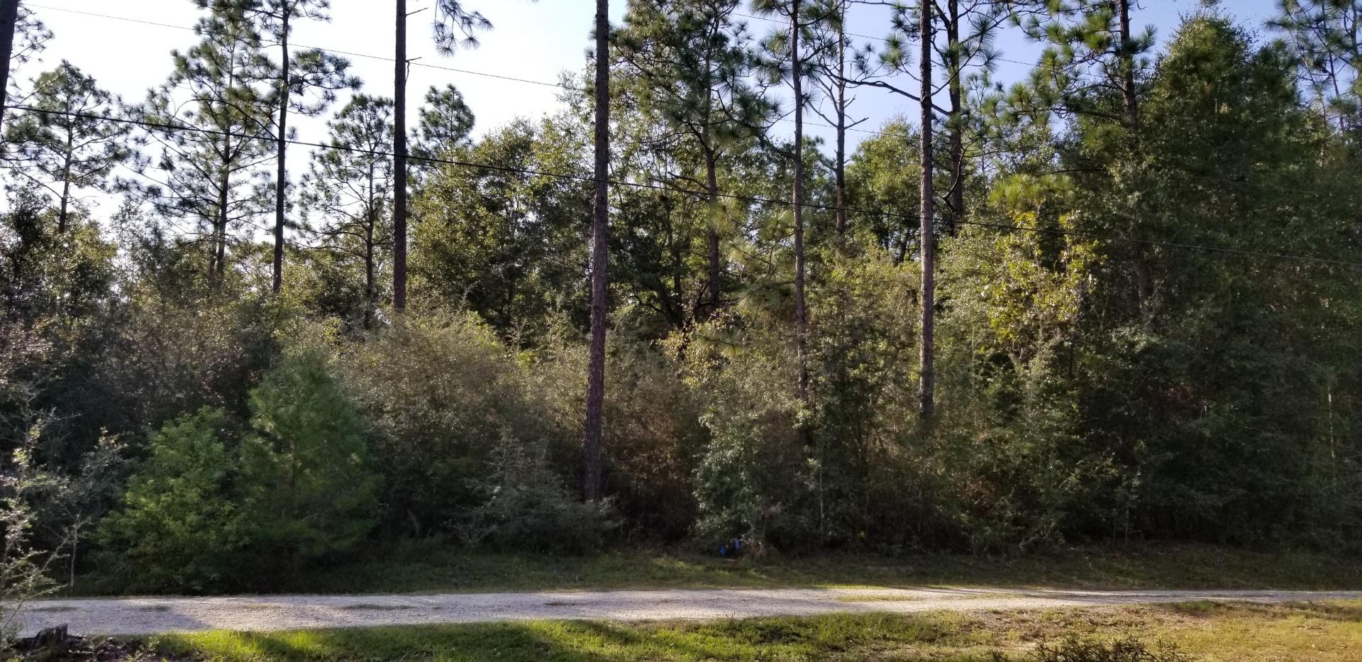 25 of the most desirable development acres from a 58 acre parcel known as MLS 857273. Located at the end of W Dogwood Dr adjoining Holly Hills Subdivision, also viewable looking North across the big lake at Nature Lake Subdivision, both S/D's are off Lake Silver Road. The land is primarily level, beautifully wooded, the proposed west line will come well short of a creek bed that runs through the larger parcel. A legal right of way to be negotiated will need to be provided to access the unsold remaining 33 acres across & thru the creek bed. Owner might consider option or owner financing to a developer on the 2nd parcel thru infrastructure and early sales phase of development. There is a portion that will provide a nice view of Nature Lake.  (a 22x24 stg bldg/garage on slab is included)