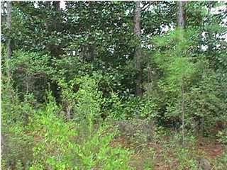 SANTA ROSA PLANTATION - Land