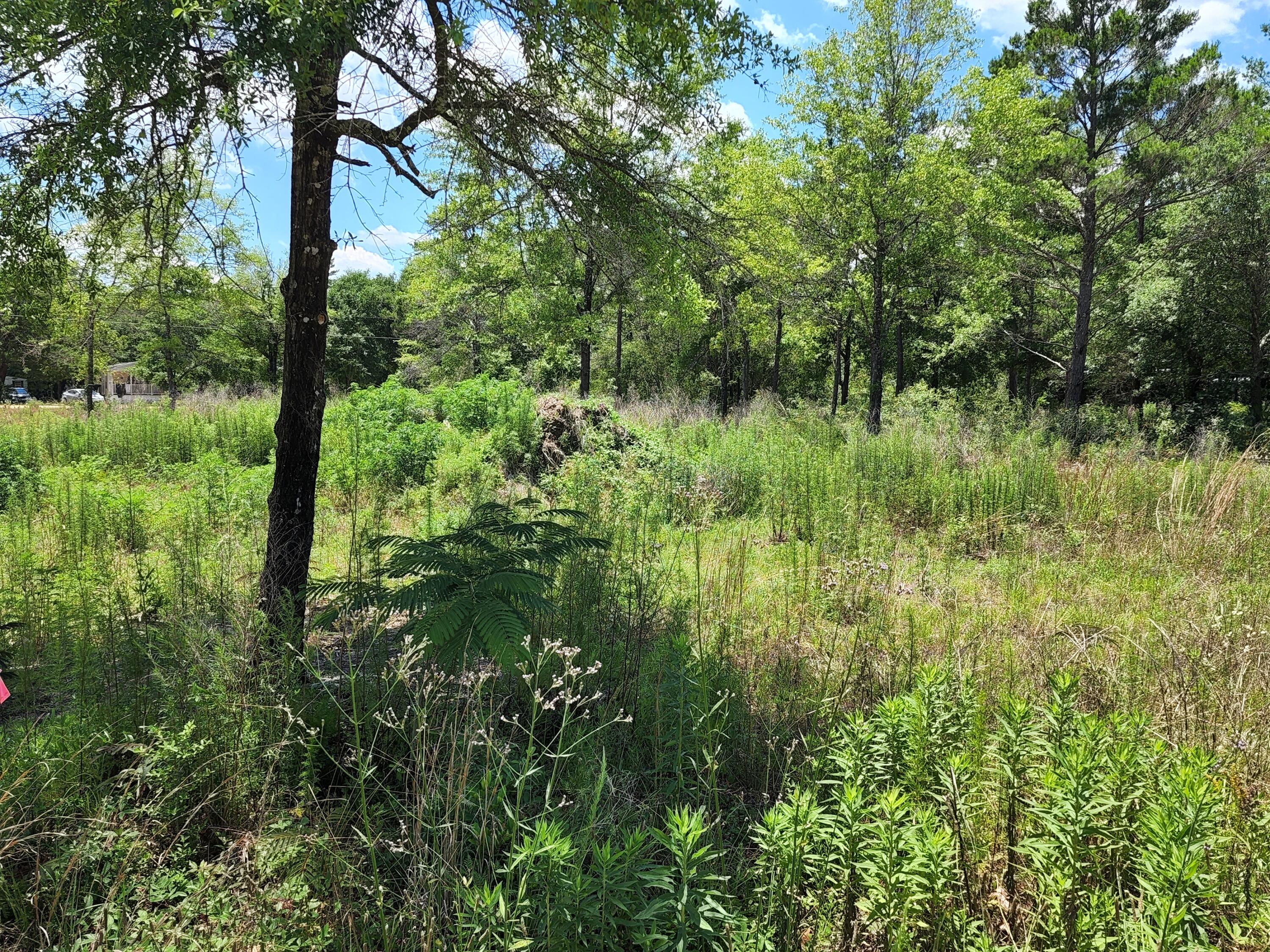 OAKWOOD HILLS UNIT 3 - Land