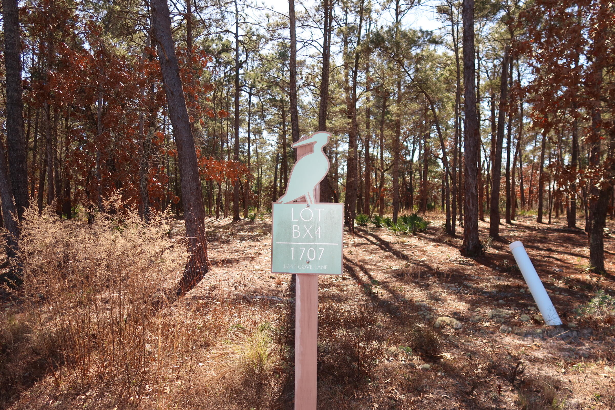 Opportunity to build your dream home in the gulf coast's most unique gated lakefront community. Wild Heron is a 734-acre sanctuary on the shore of Florida's largest coastal dune lake, Lake Powell. You will enjoy the lakefront heated swimming pool, hot tub, fitness center, fishing dock boathouse with kayaks for resident's use to explore Lake Powell, lakefront boardwalk fire pit and a gathering area with fireplace overlooking Lake Powell. Wild Heron is located between Rosemary Beach on Scenic Highway 30A and the west end of Panama City Beach which offers beach, restaurants and Pier Park. This property backs up to the 11th hole of the top-rated Greg Norman designed Sharks Tooth golf course.