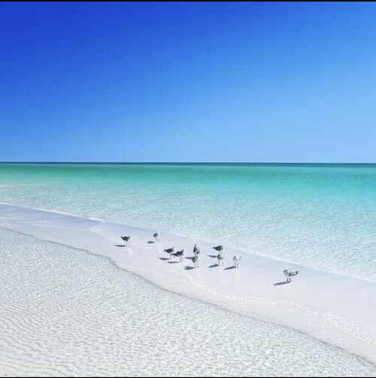 BLUE GULF RESORT - Residential