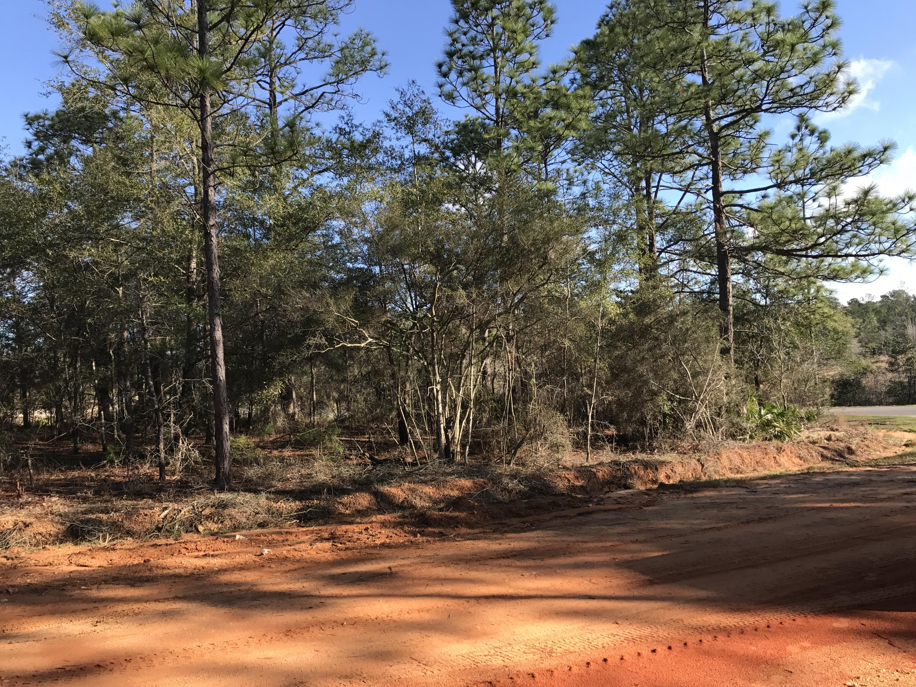 OAKWOOD HILLS UNIT 1 - Land
