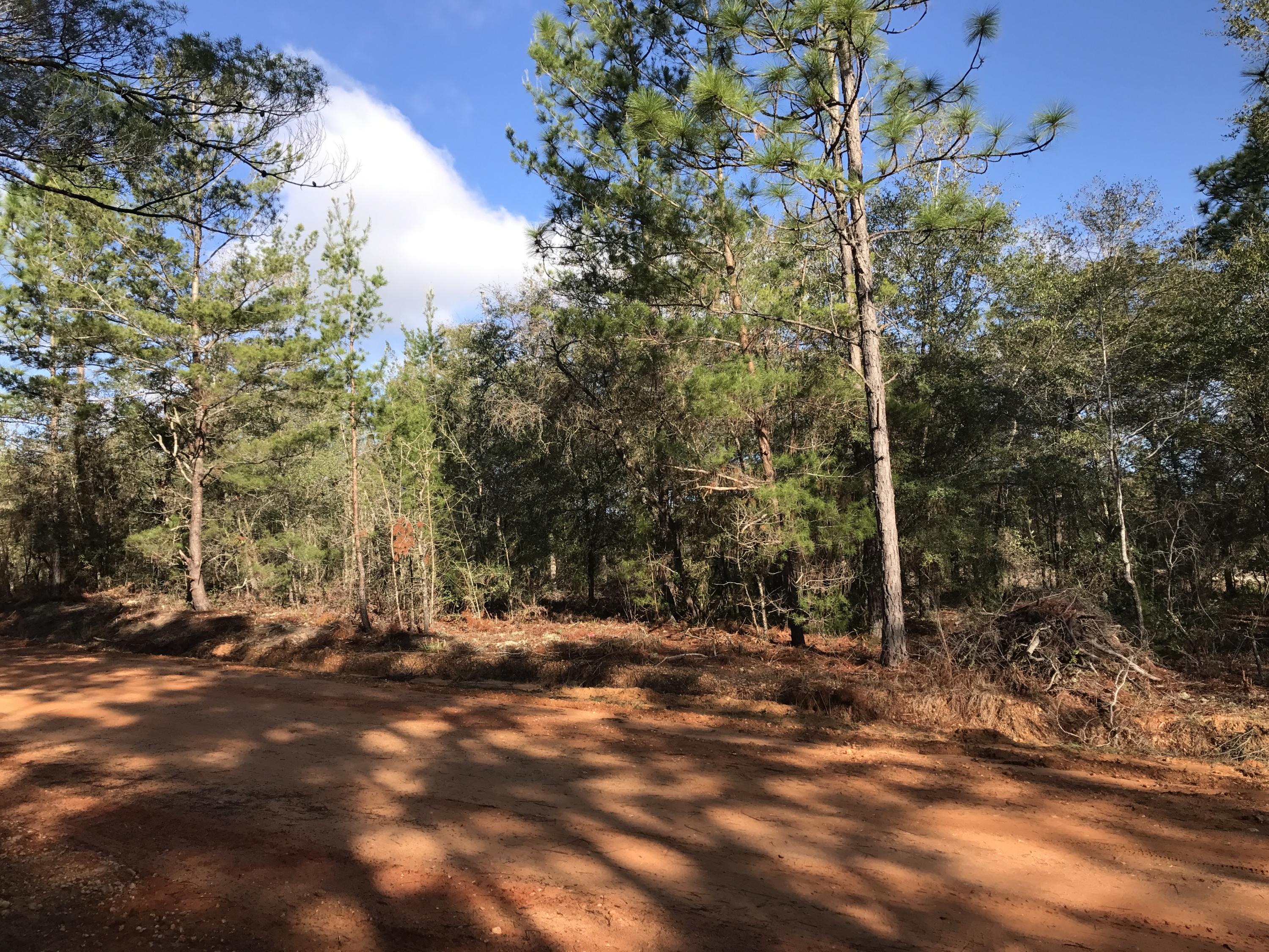 OAKWOOD HILLS UNIT 1 - Land
