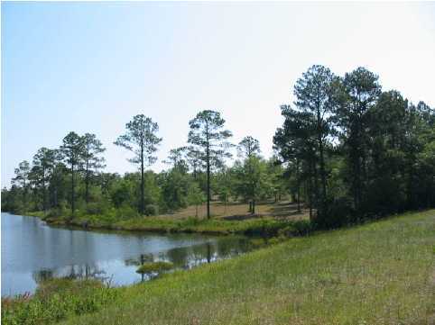 Waterfront in magnolia lake S/D one of the  largest waterfront lots in the subdivision.   Approx. 120 feet on Magnolia Lake.  Magnolia Lake S/D offers underground utilities, city water & sewer, great fishing, a common waterfront common area, gazebo and community dock. A single entrance and exit   provides a safe environment for your, your kids and your grandkids. Less than a mile to  elementary school, high school and children's park.   the  Homeowner's Association dues are only $169.00 per year! Covenants and Restrictions apply. All dimensions and acreage subject to verification by Buyer at Buyer's expense.