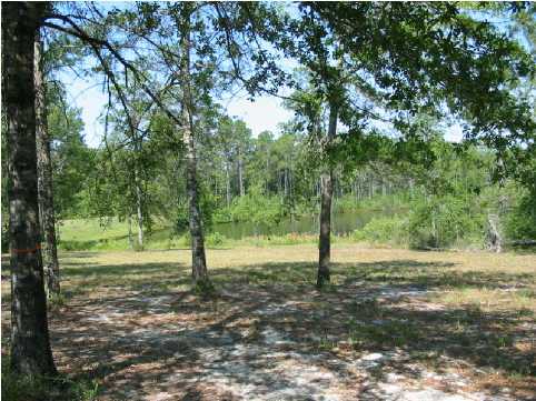 MAGNOLIA LAKE S/D - Land