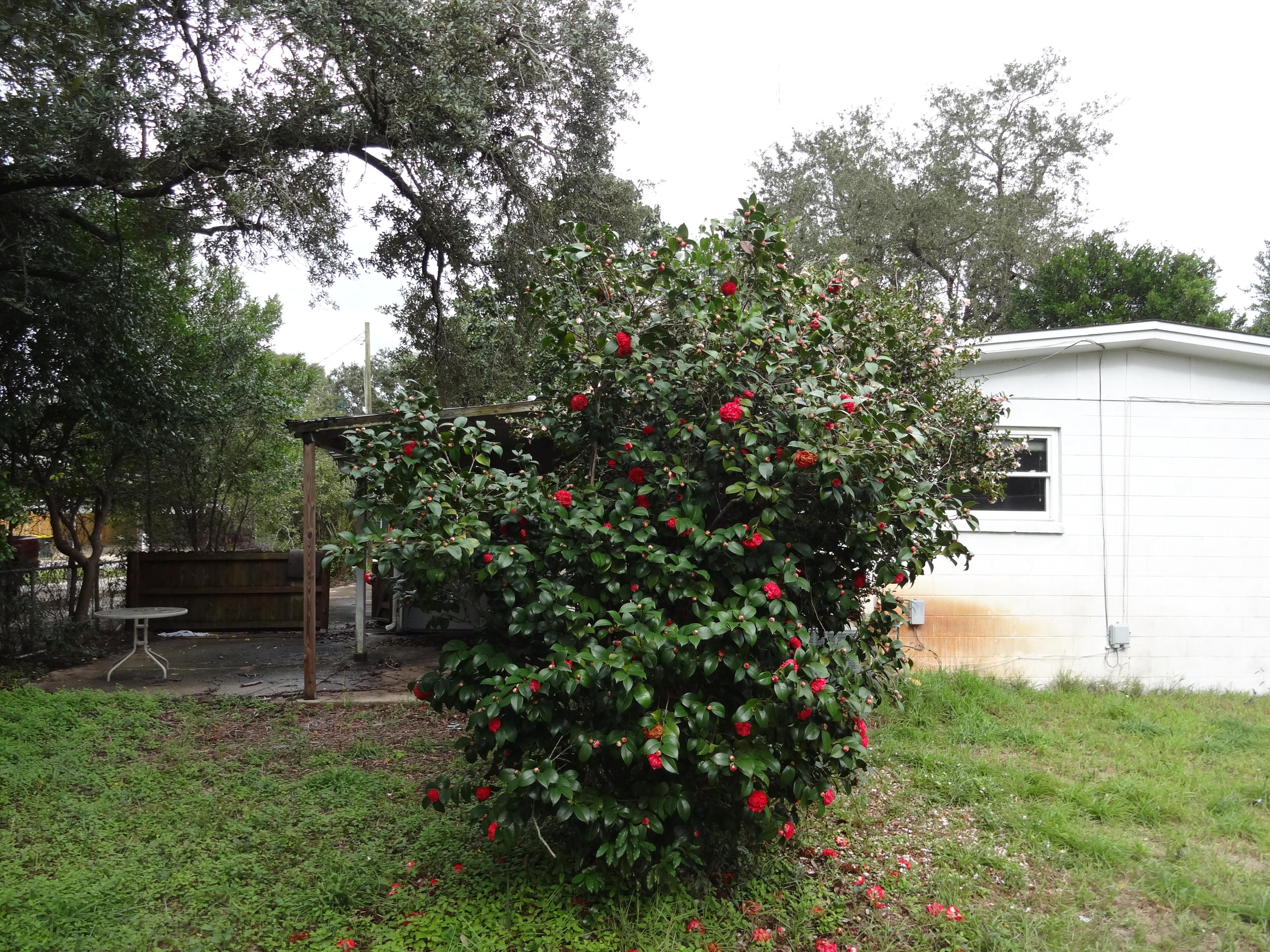 SEABREEZE 6TH ADDN LOT 4 BLK E - Residential