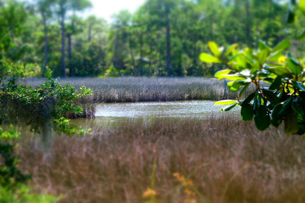 RIVER BEND - Land