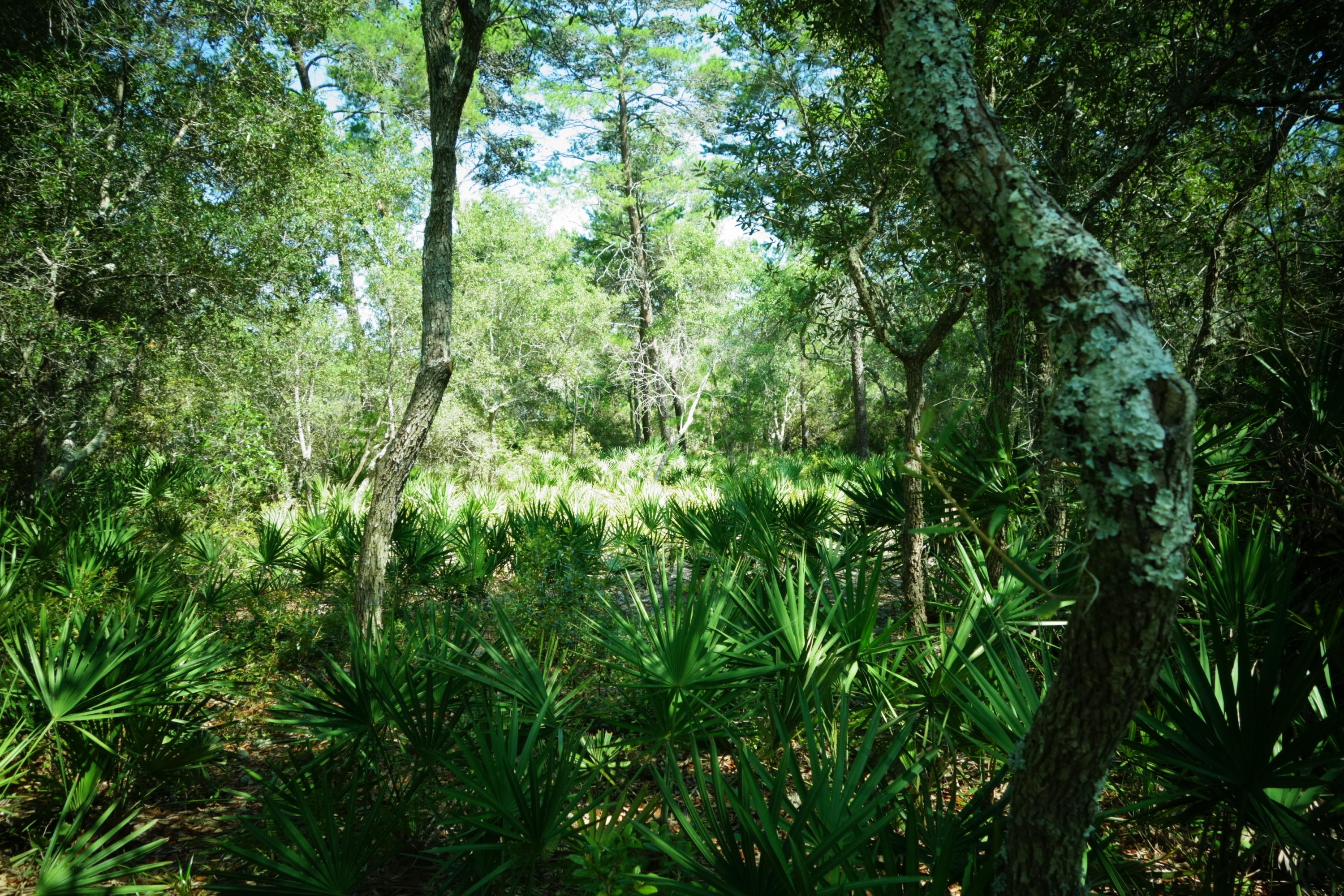 RIVER BEND - Land