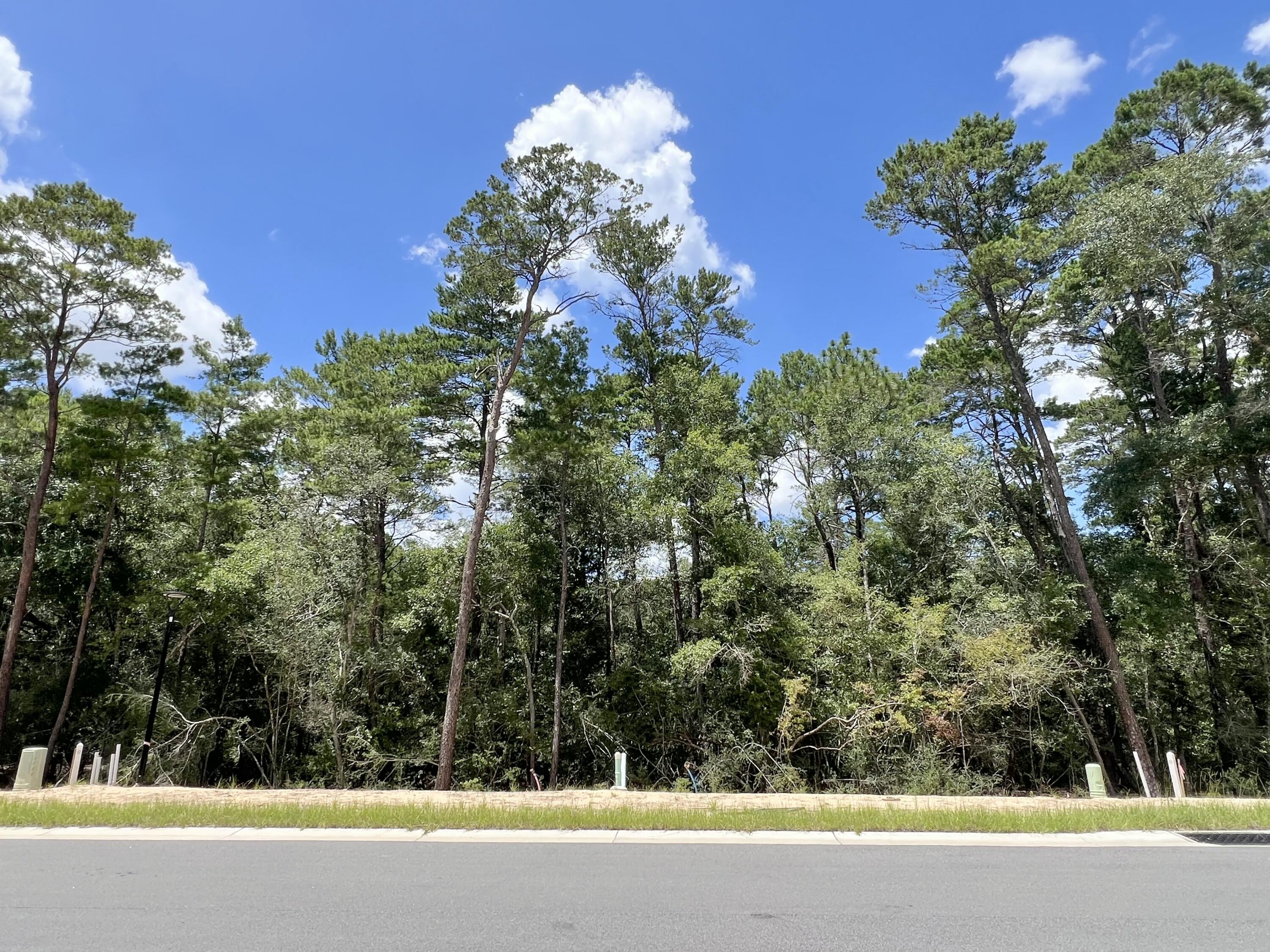 Deer Moss Creek - Land