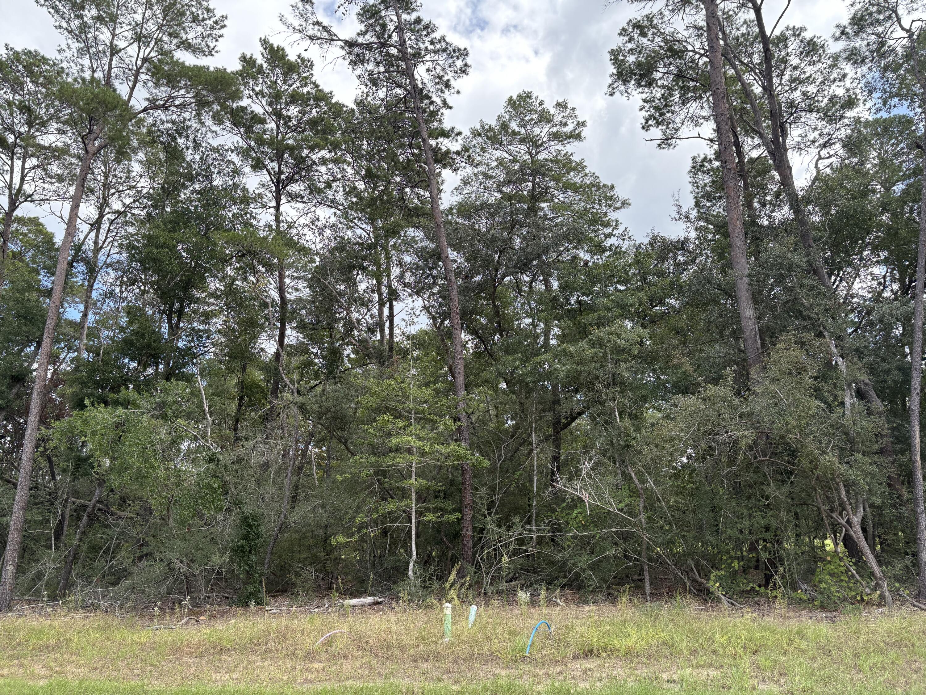 Beautiful lot in the desirable and new Deer Moss Creek Phase 11! Deer Moss Creek® is an 1,100- acre, master-planned, mixed-use community in Niceville, FL. Community plans include a nature trail, bike lanes, parks, pools, office and retail space. Sidewalks are 5' wide and home plans must be approved by the Town Architect. Build your dream home in the beautiful Deer Moss Creek community!