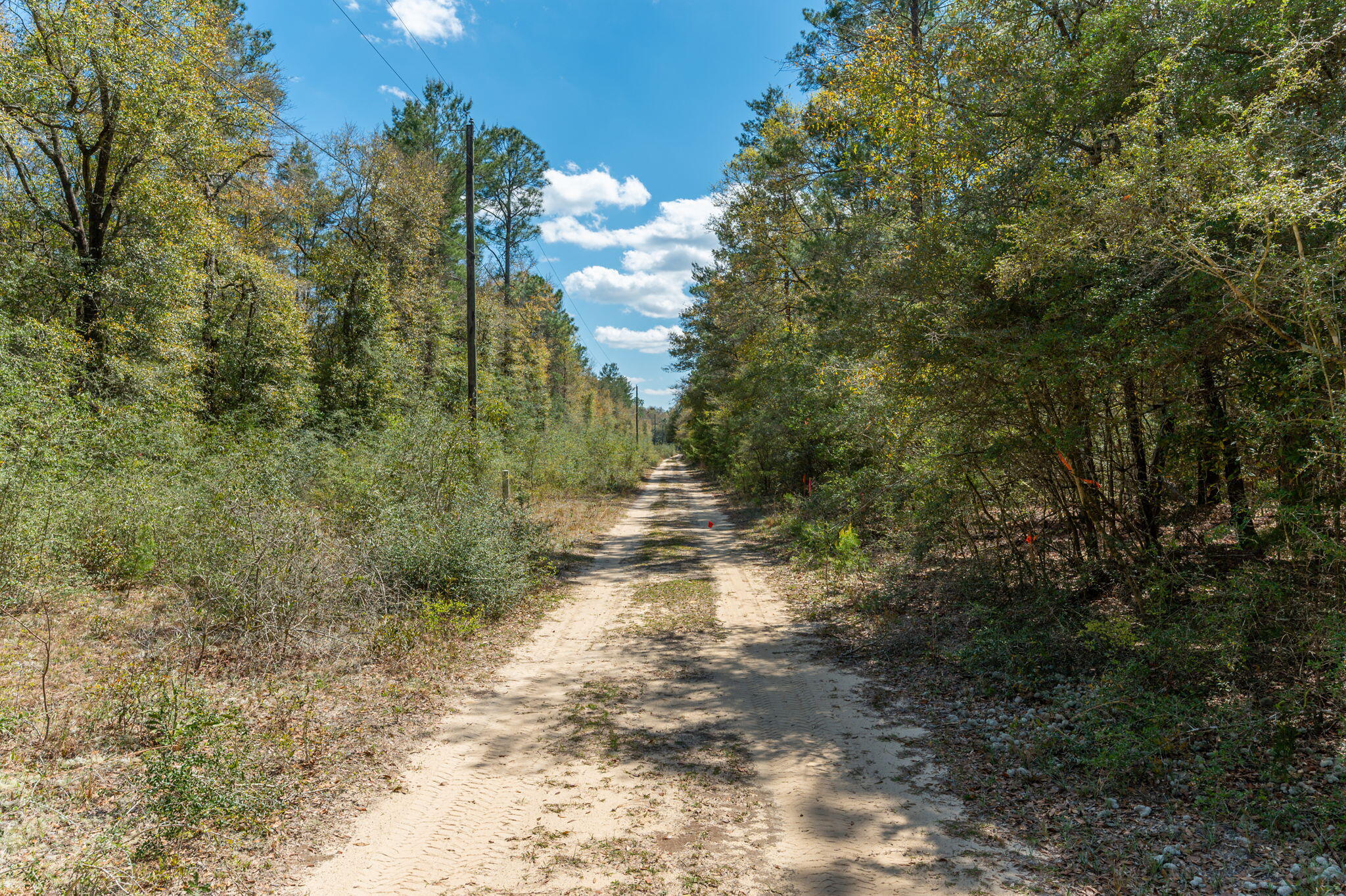 Imagine your ideal homestead on this expansive 16.33-acre parcel in Northwest Florida! Located off Highway 90 on Wildwood Lakes Drive, this high and dry land offers incredible space and privacy for your dream retreat.

With readily available power and agricultural zoning, envision crafting your perfect home or simply enjoying the freedom this acreage provides. A recent survey and a completed Lot of Record are available for your review. The Lot of Record confirms this parcel's legal status and allows for a residential density of one unit per 2.5 acres, with the flexibility to cluster units. If you're seeking a substantial, customizable slice of Northwest Florida, this could be it. Explore the possibilities!