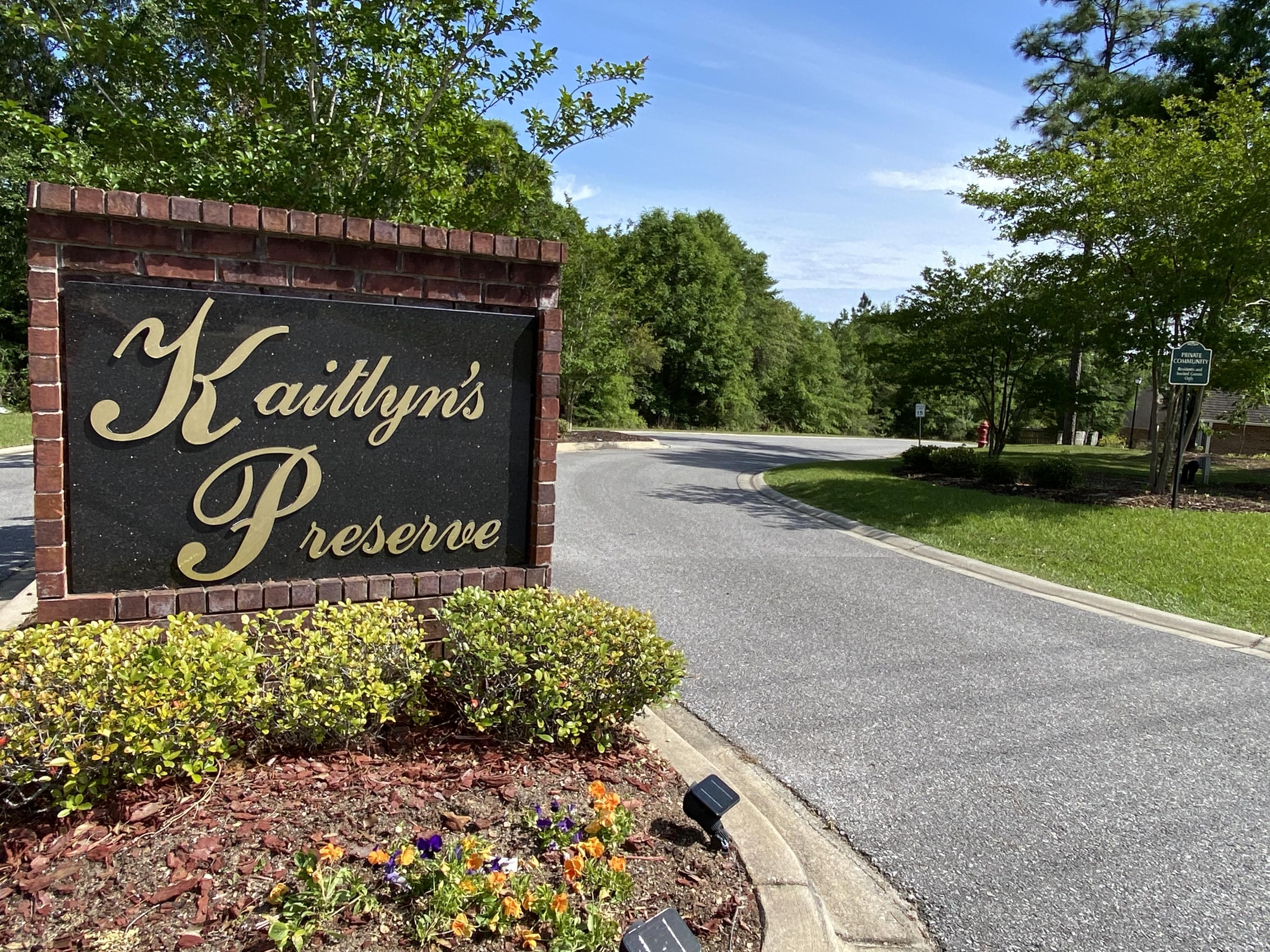 KAITLYNS PRESERVE LOT 8 - Residential