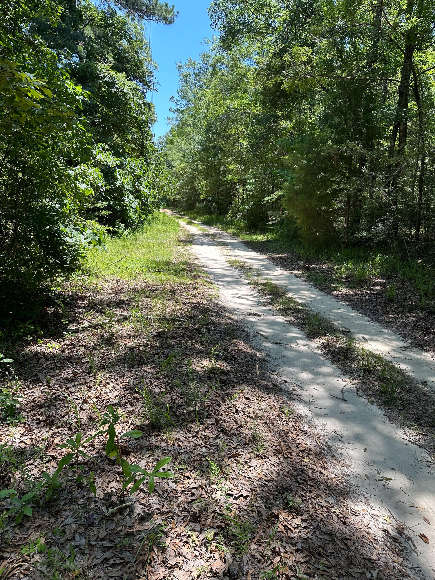 No Named Subdivision - Land