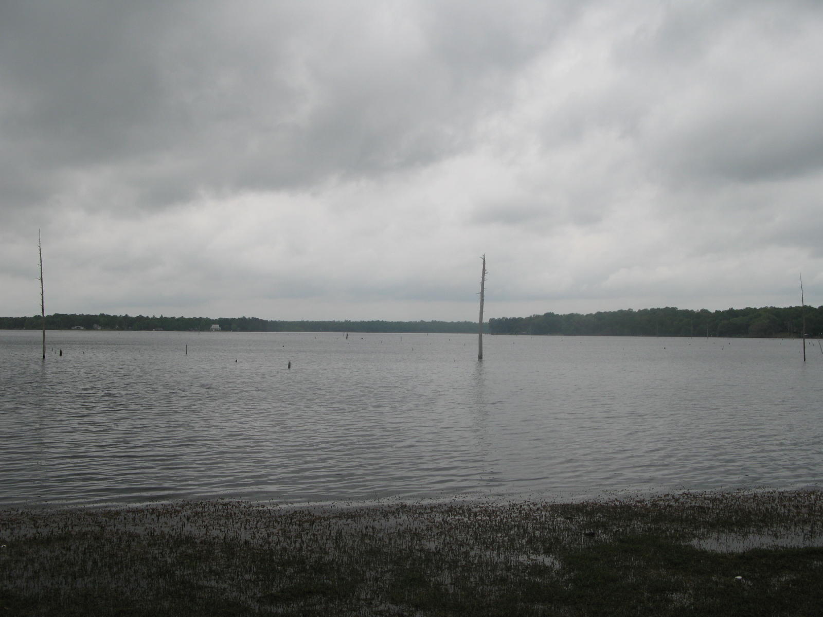 Absolutely stunning lake front acreage on beautiful Lake Juniper. Lake Juniper is a 665 acre lake with 2 public boat ramps and managed by Florida Fish and Wildlife. Property is wooded with approx. 690 feet on the lake. Over 1,470 of paved road frontage. Property has a gate and woods road leads down to the water. Has large pines, oaks, and magnolia trees. Zoning is Urban Residential.