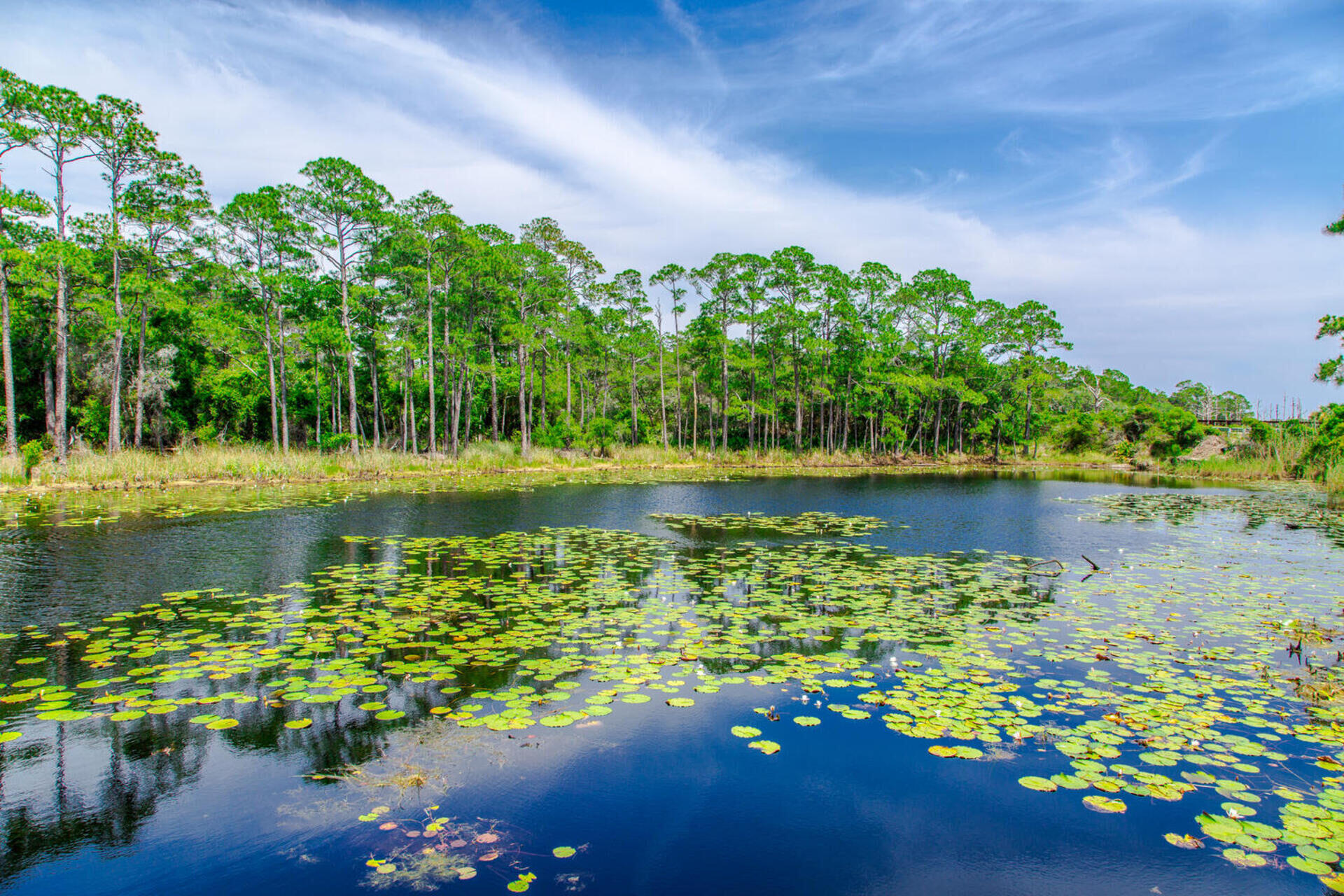 REDFISH VILLAGE - Residential