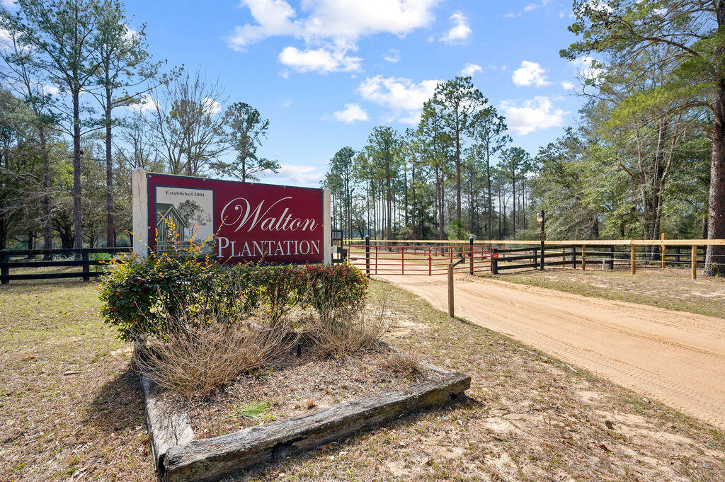 WALTON PLANTATION - Residential