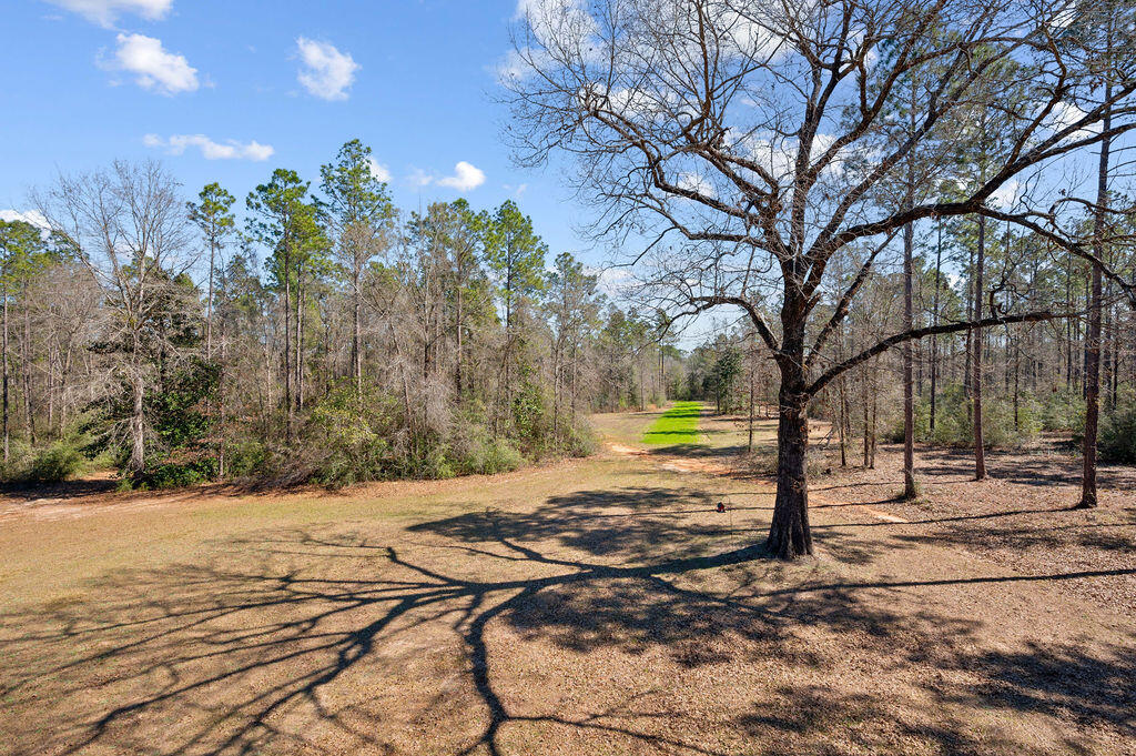 WALTON PLANTATION - Residential