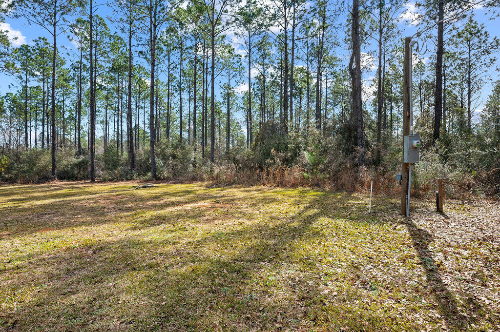 WALTON PLANTATION - Residential