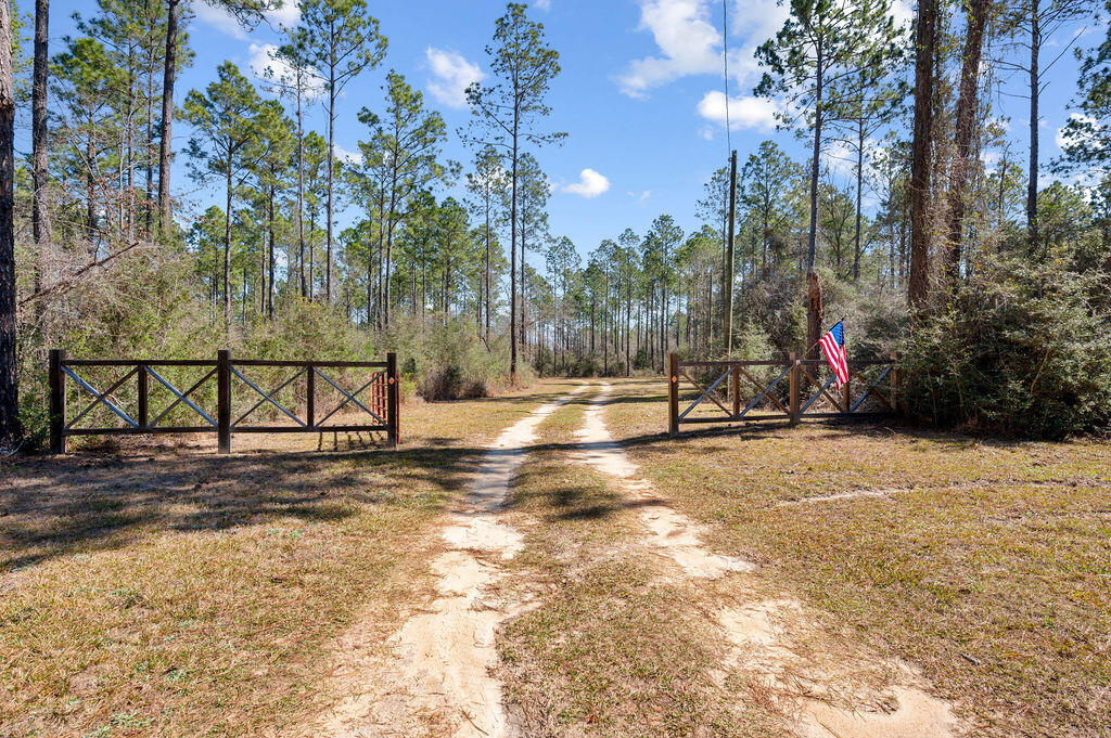 WALTON PLANTATION - Residential