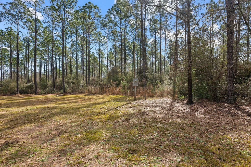 WALTON PLANTATION - Residential