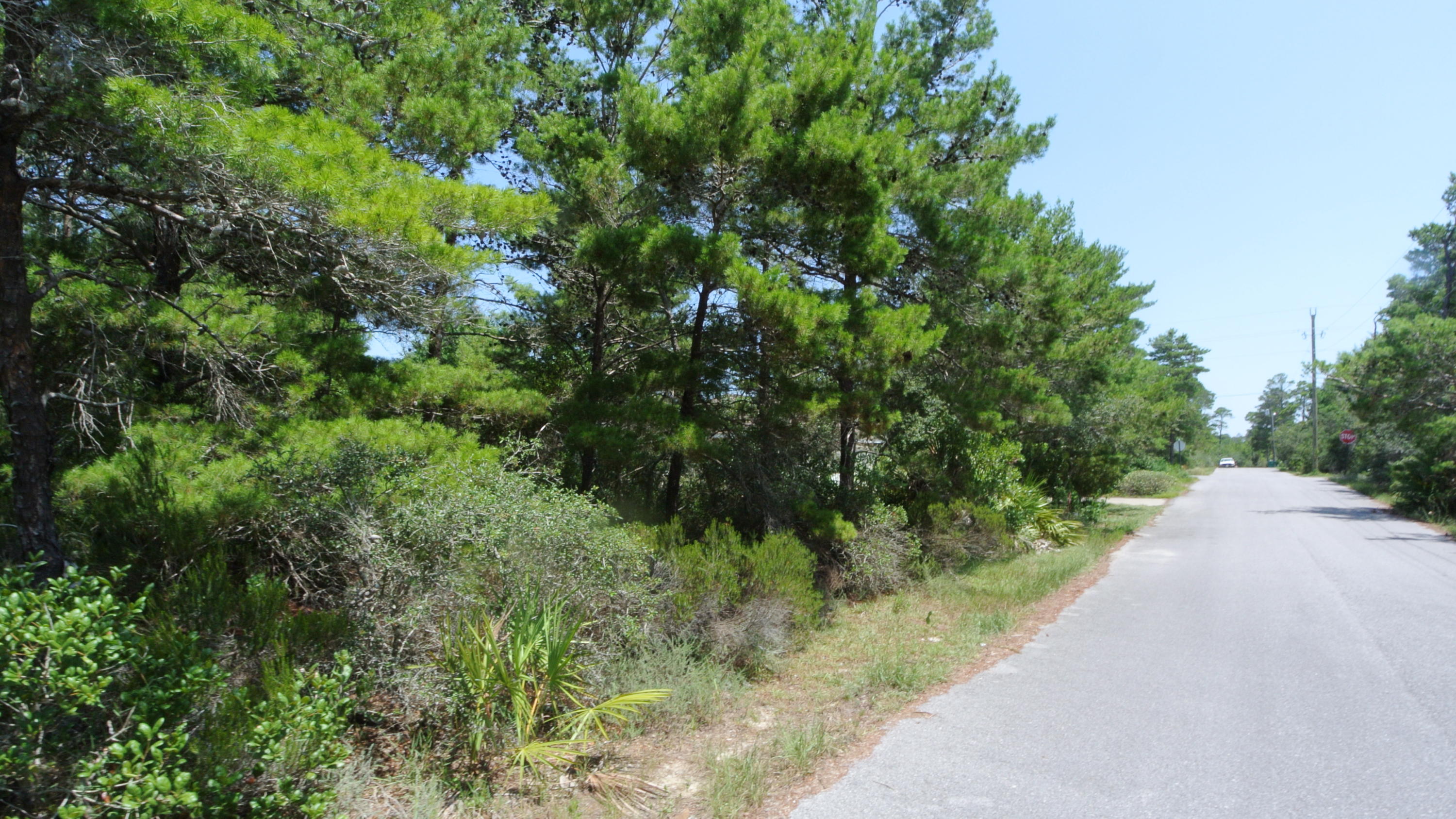 SANTA ROSA RIDGE UNIT 1 - Land