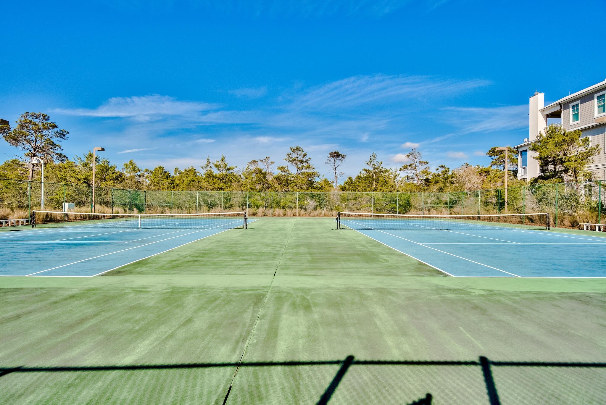 THE PRESERVE AT GRAYTON BEACH - Residential