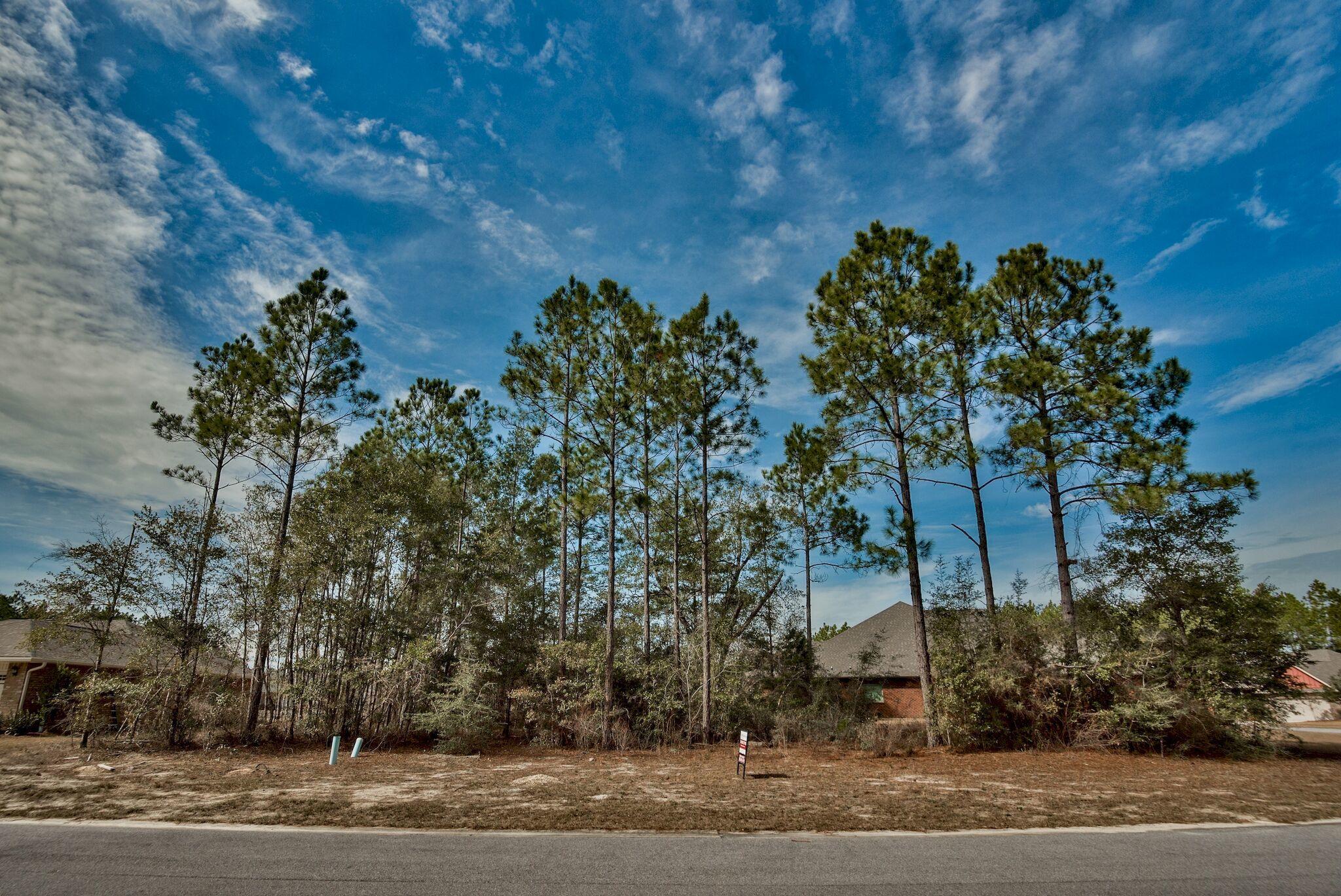 HAMMOCK BAY - Land