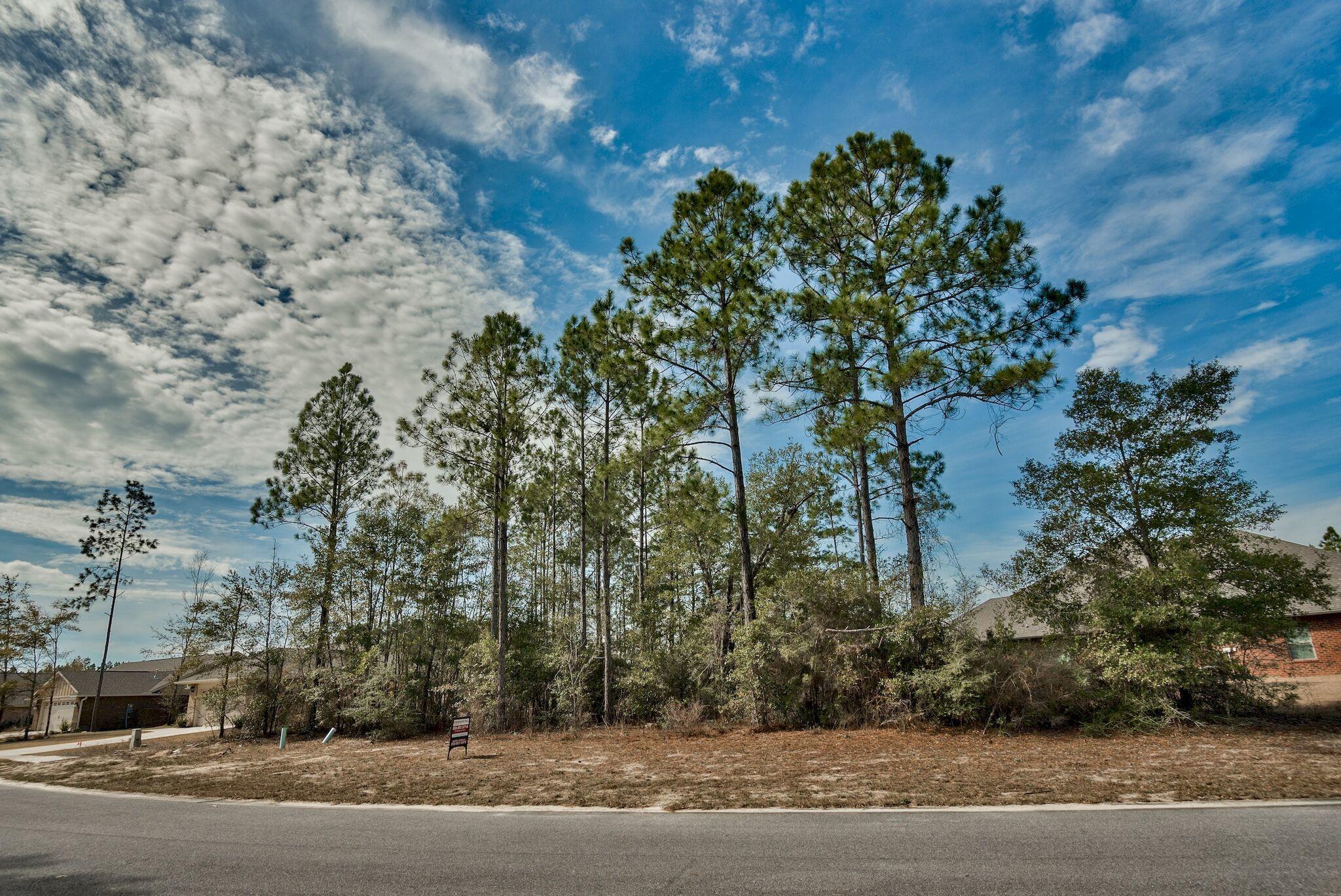 HAMMOCK BAY - Land