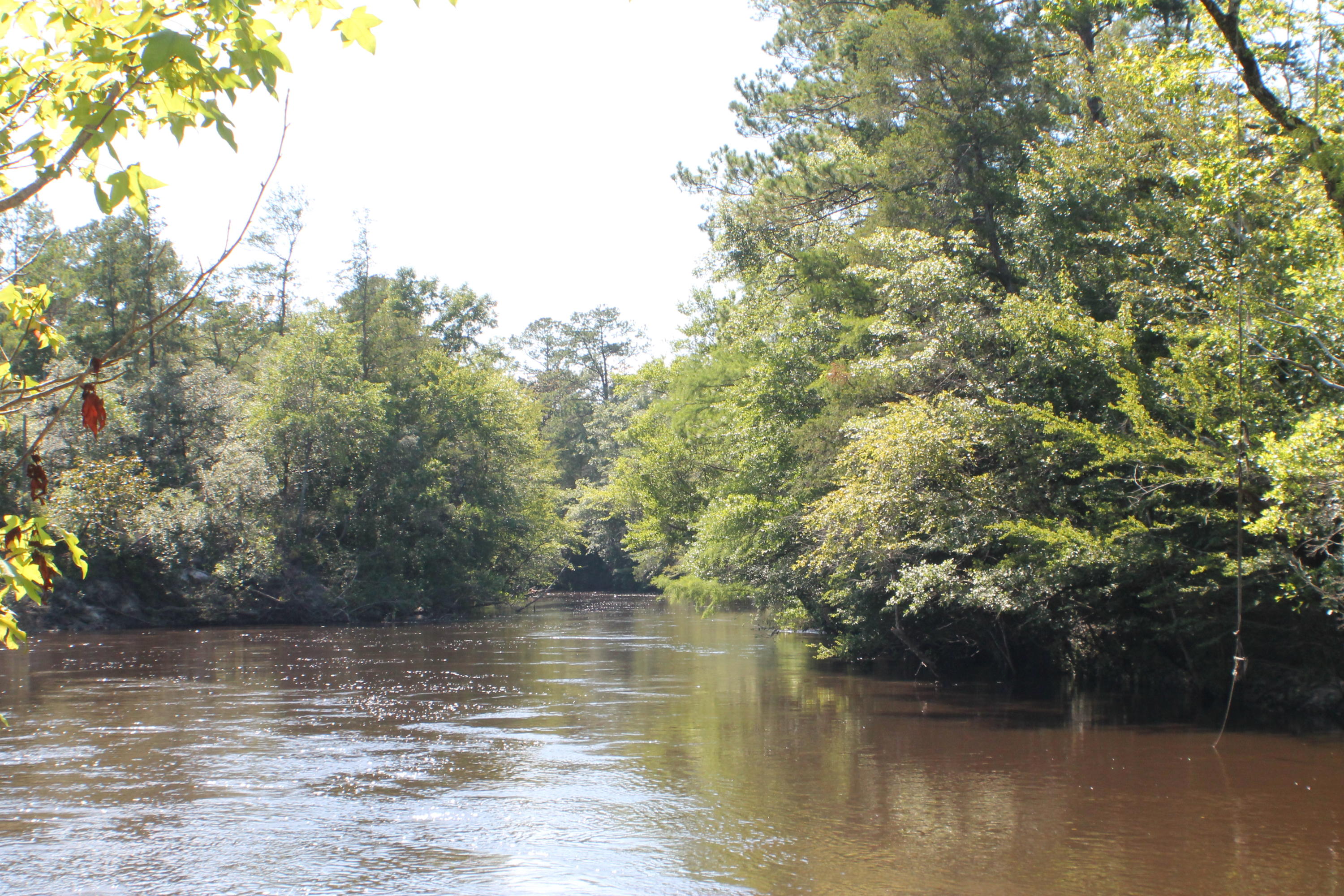 OFF THE GRID!! GREAT OPPORTUNITY FOR HUNTING/FISHING CAMP 35 acres located right on the river and perfect for recreational use Fishing and hunting! Watch the deer and listen for the turkeys. Seller will consider owner financing.