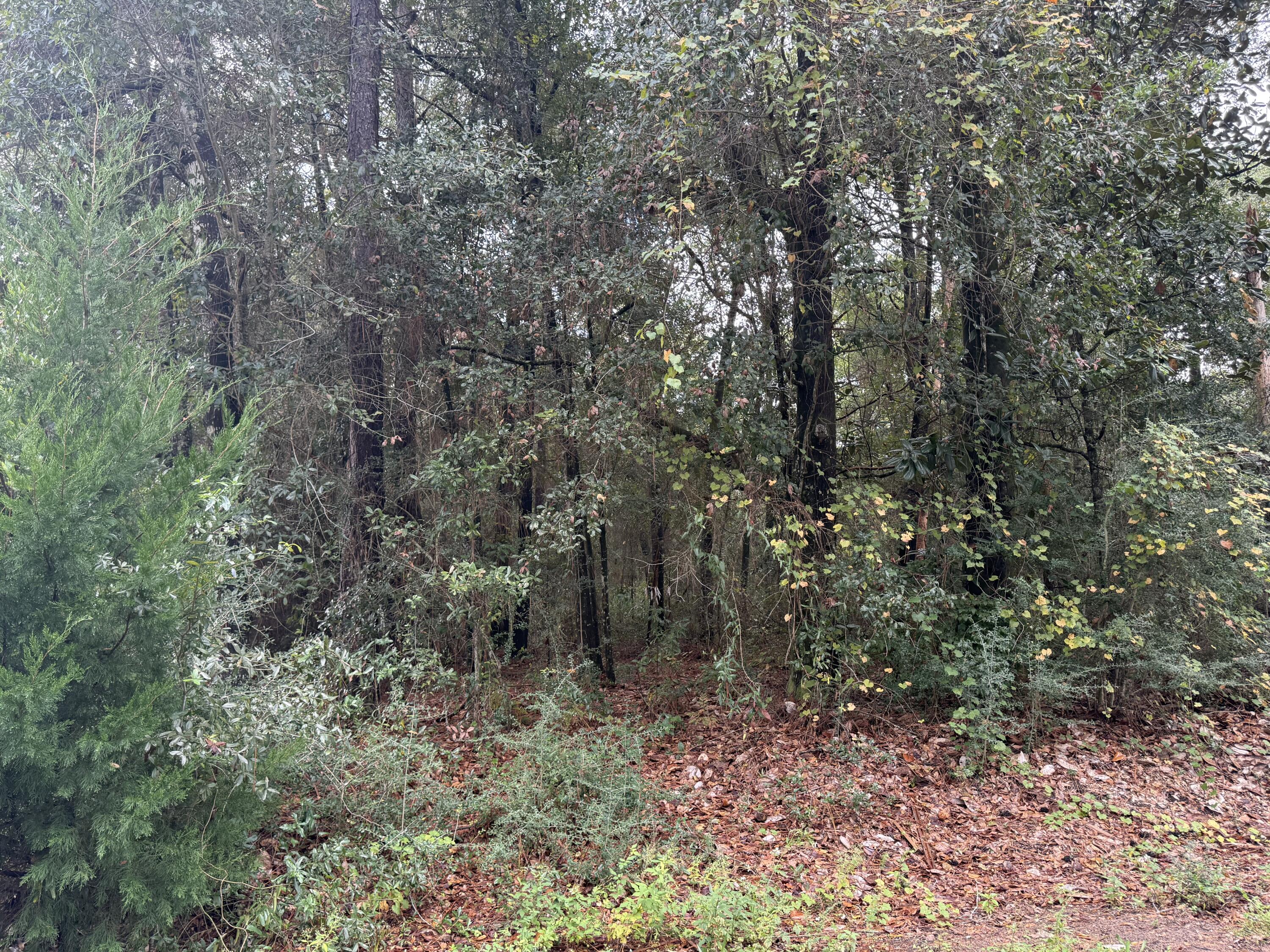 UNRECORDED SUBDIVISION - Land