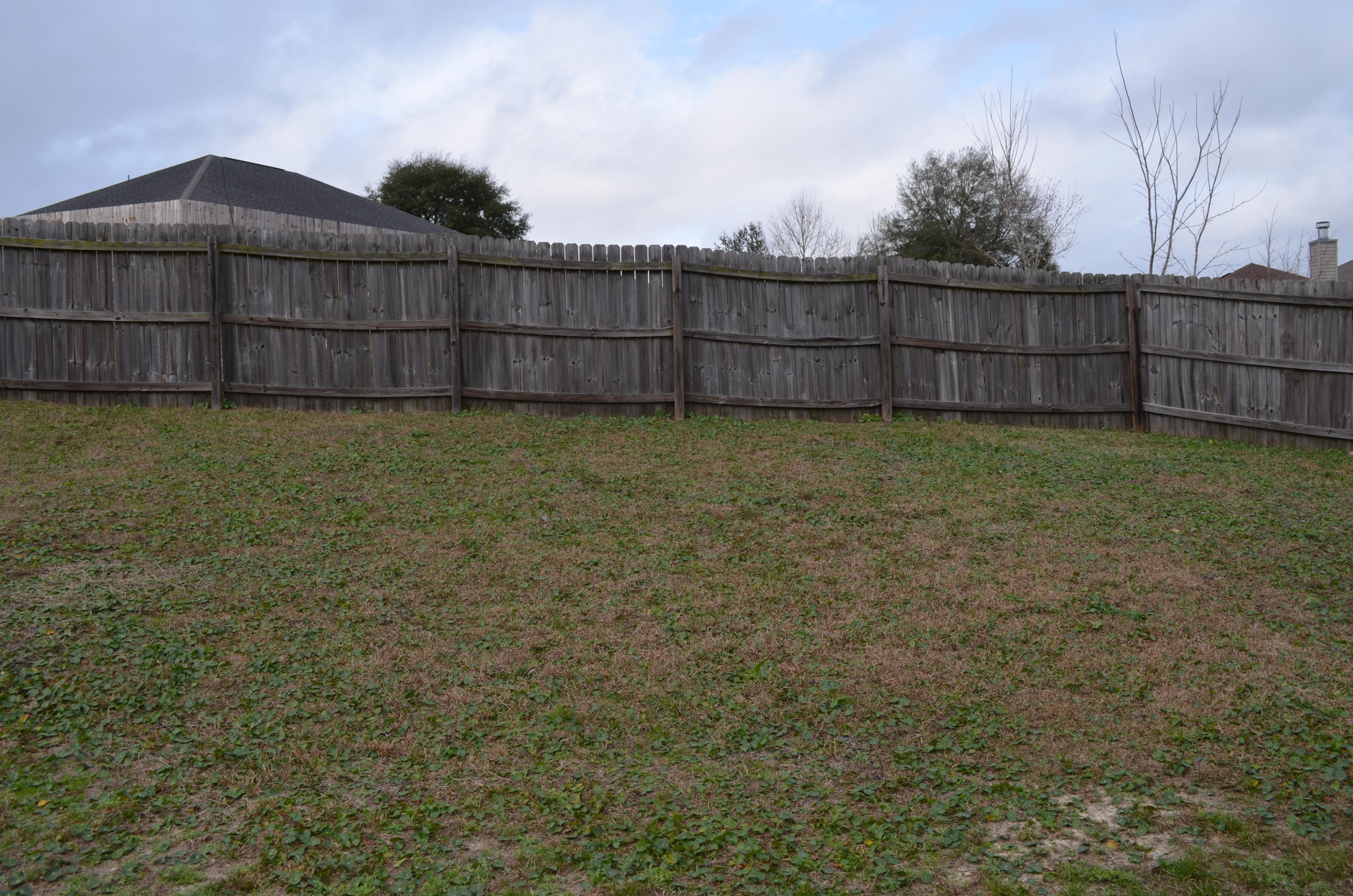 ALICIA PLACE - Residential Lease