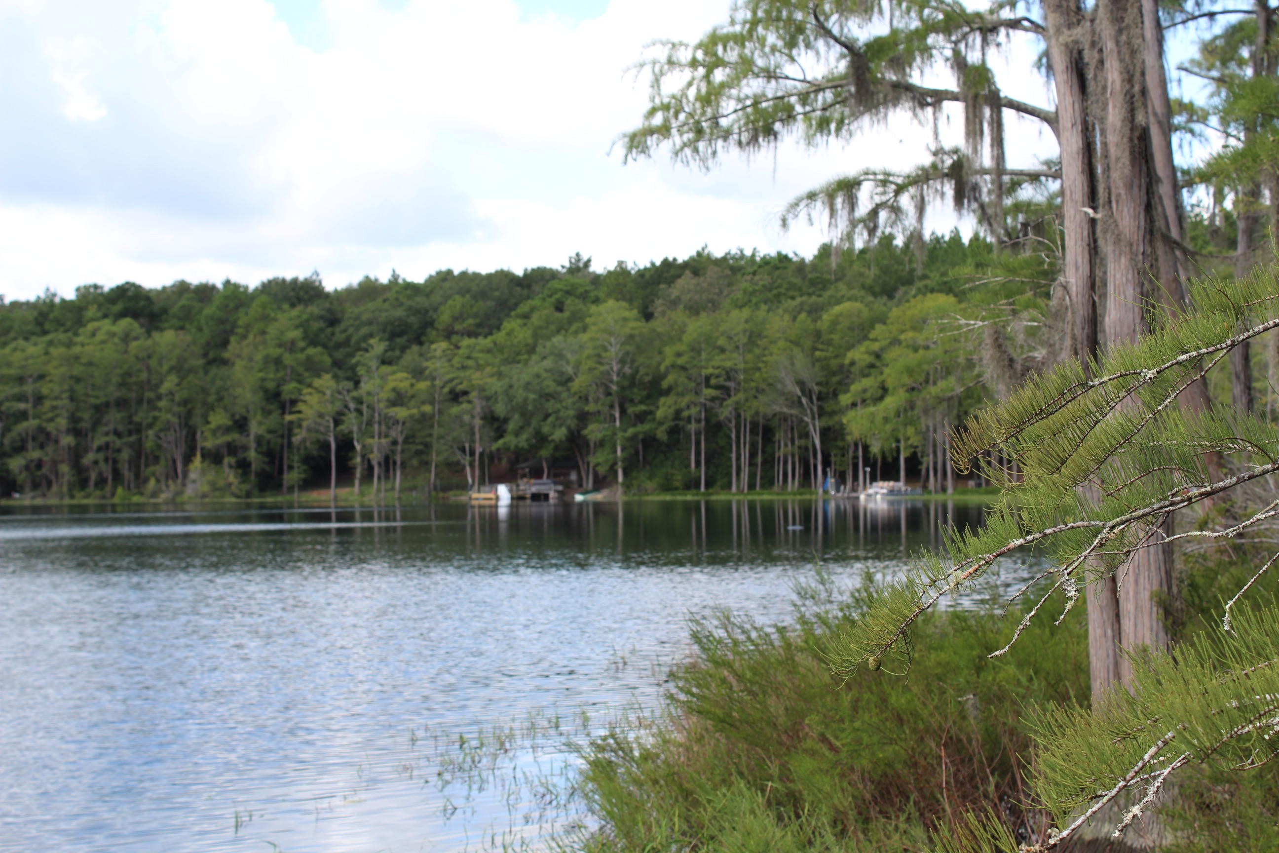 Blue Pond - Land