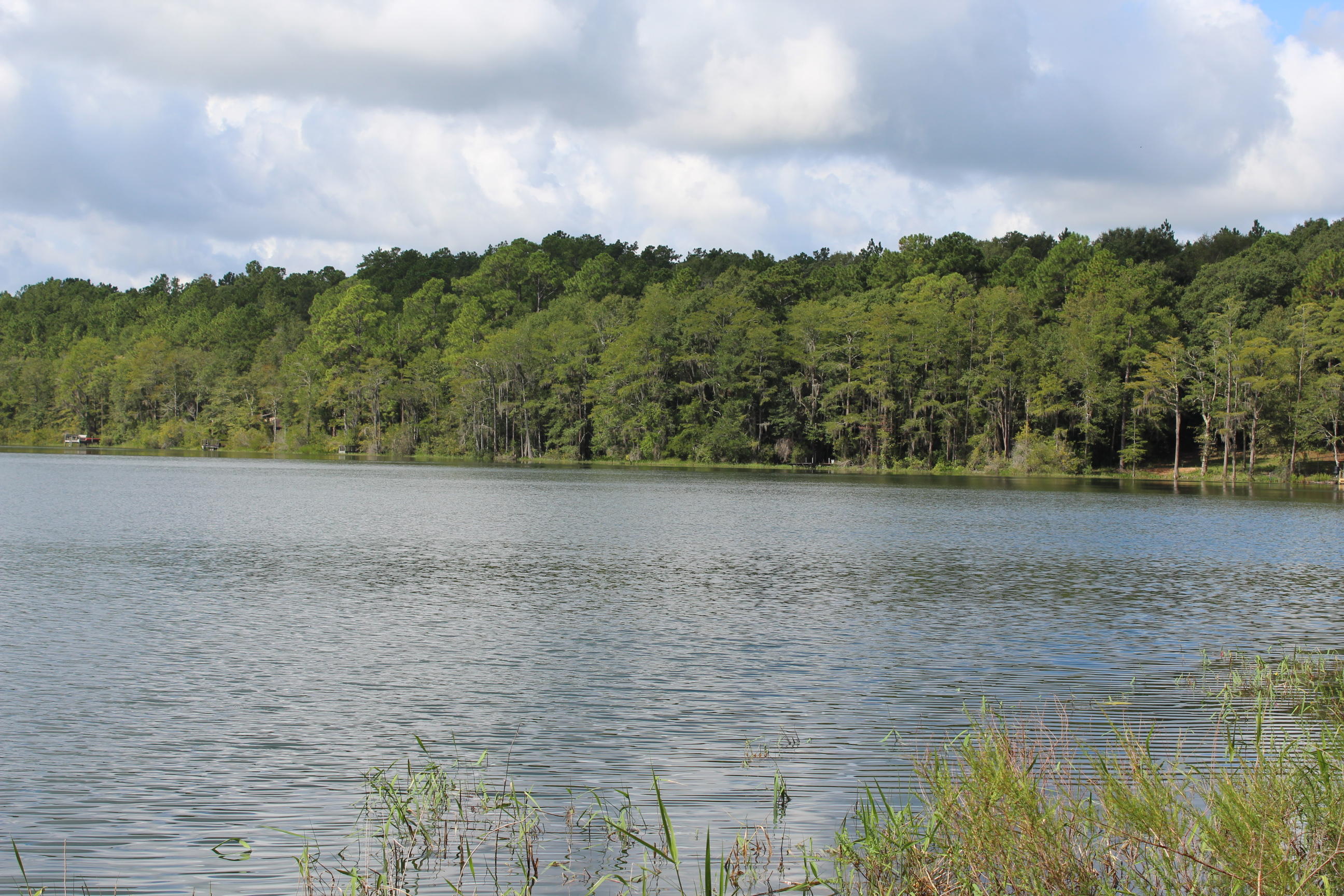 Blue Pond - Land