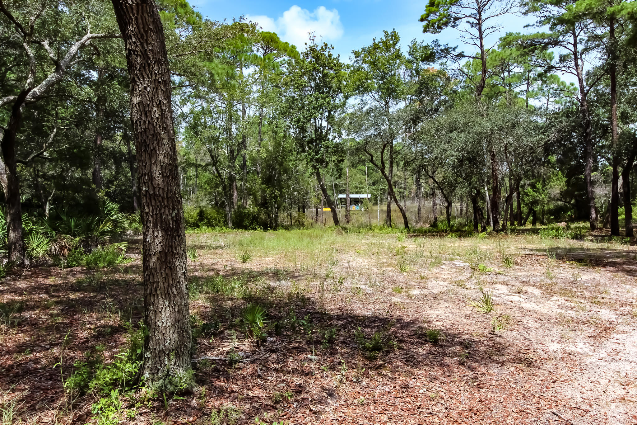 TURTLE CREEK ESTATES - Land