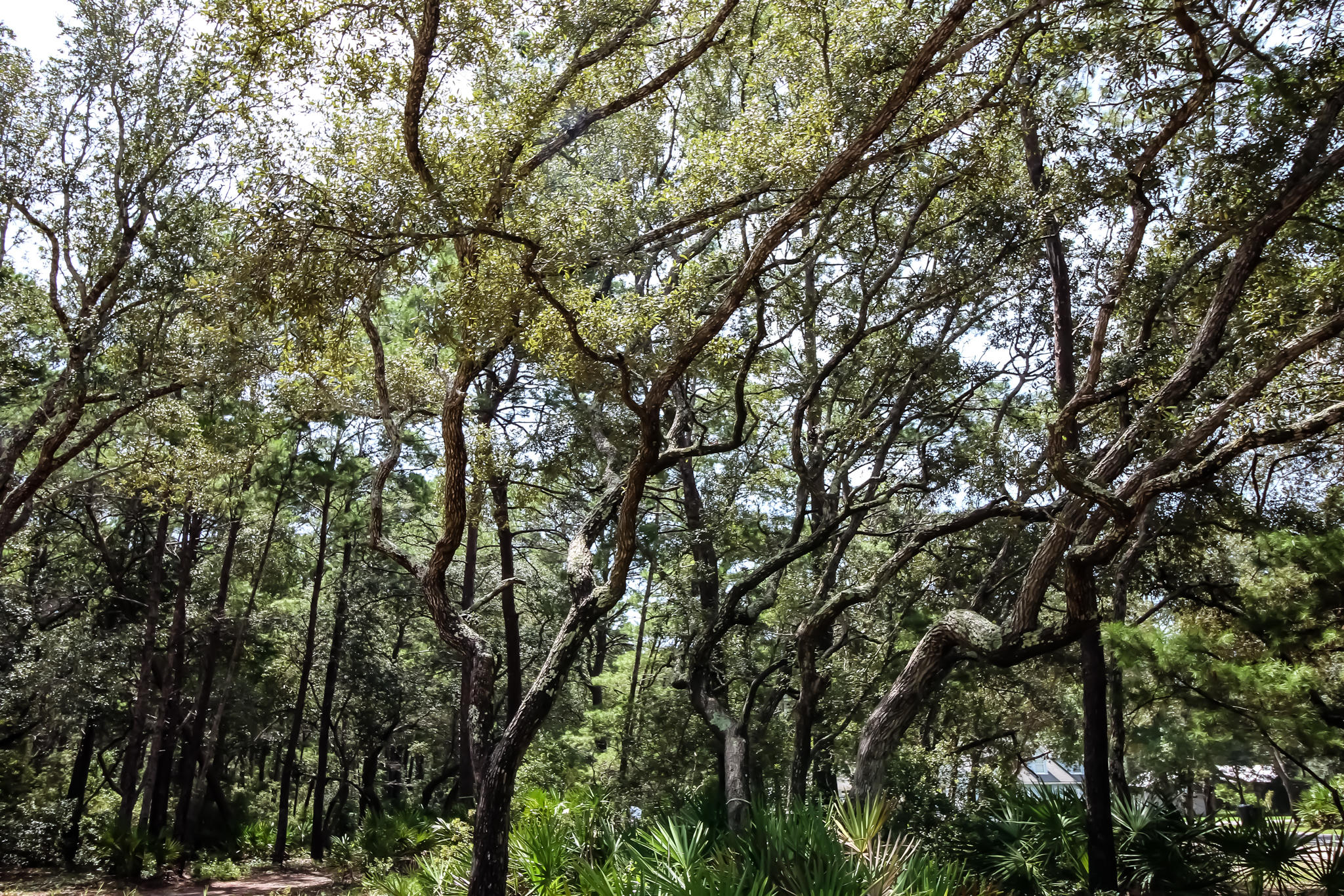 TURTLE CREEK ESTATES - Land