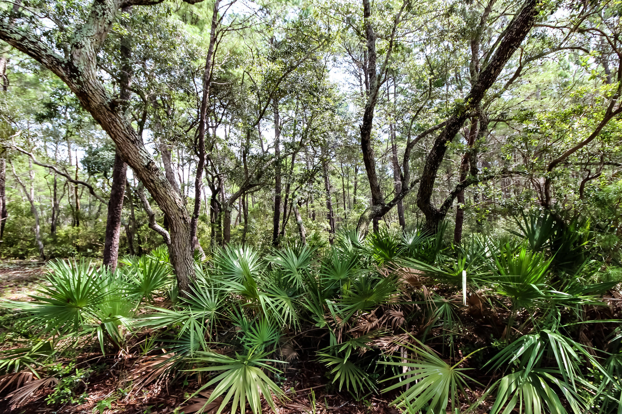 TURTLE CREEK ESTATES - Land