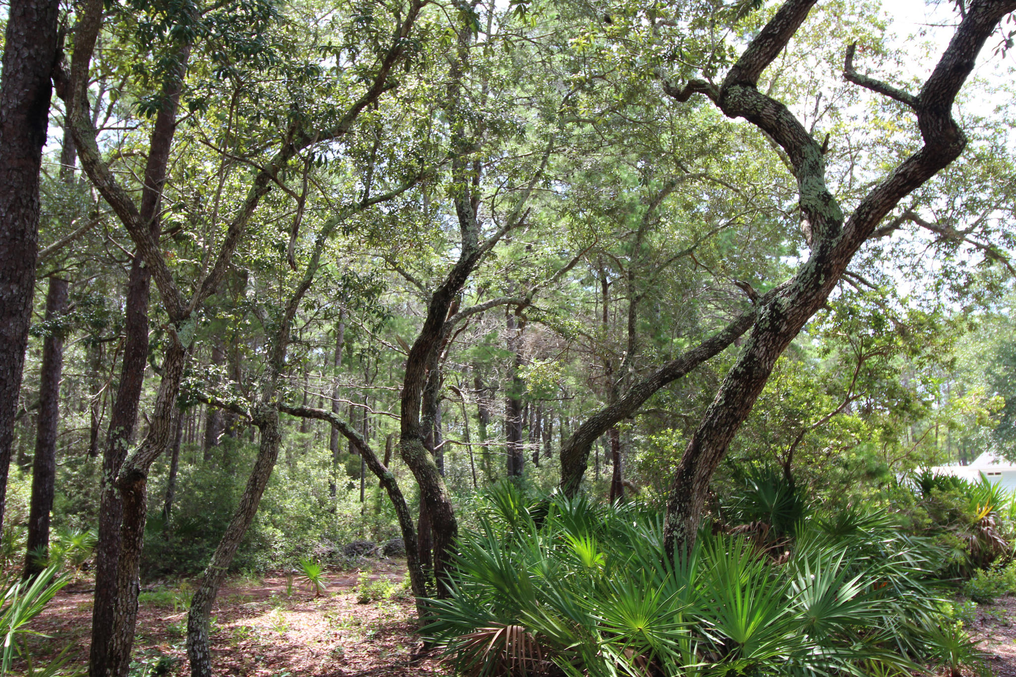 TURTLE CREEK ESTATES - Land