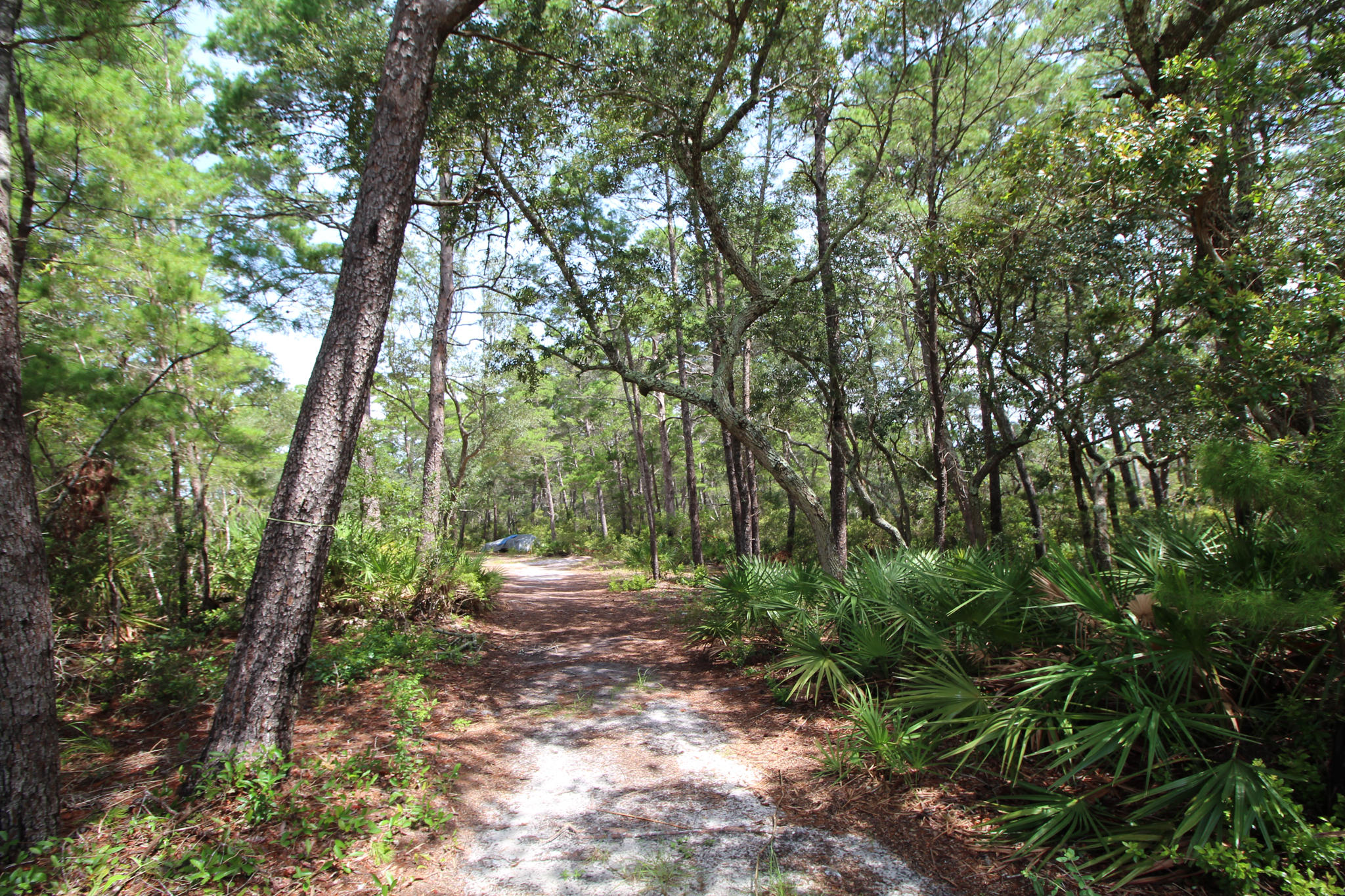 TURTLE CREEK ESTATES - Land