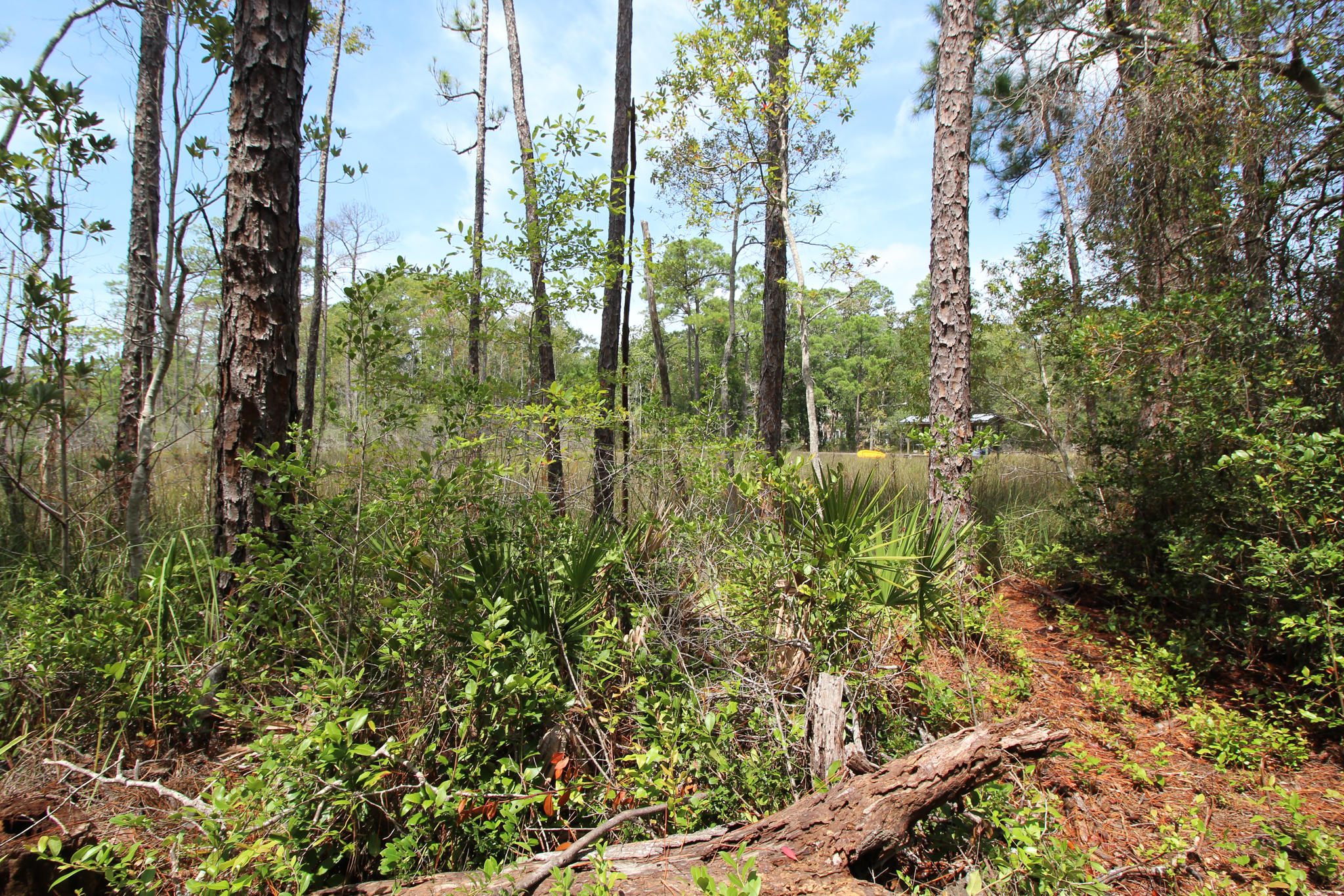TURTLE CREEK ESTATES - Land