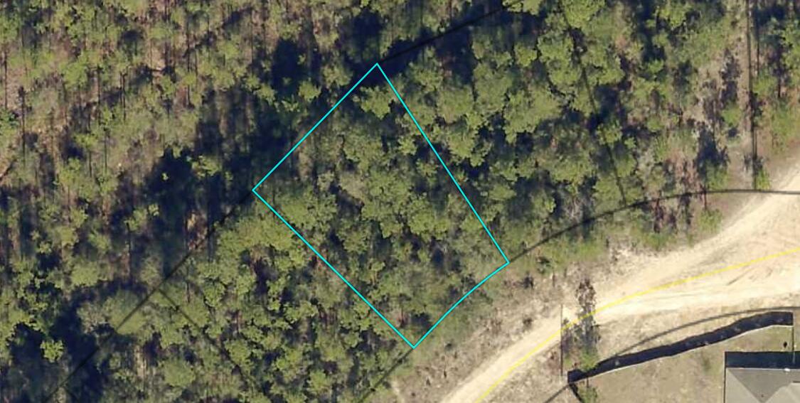 CV Pines / Triple Lake - Land