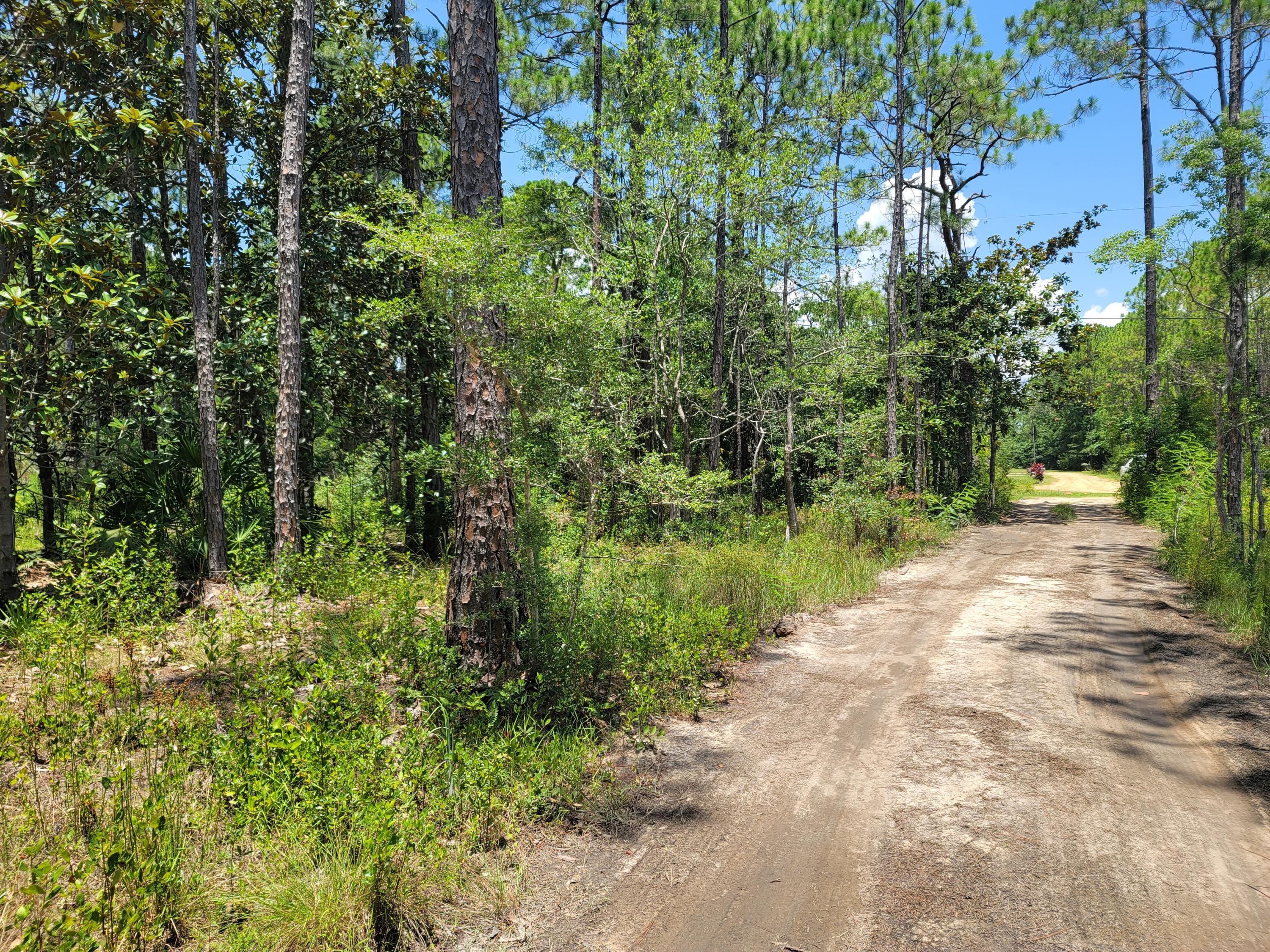 TOWN OF SANTA ROSA - Land