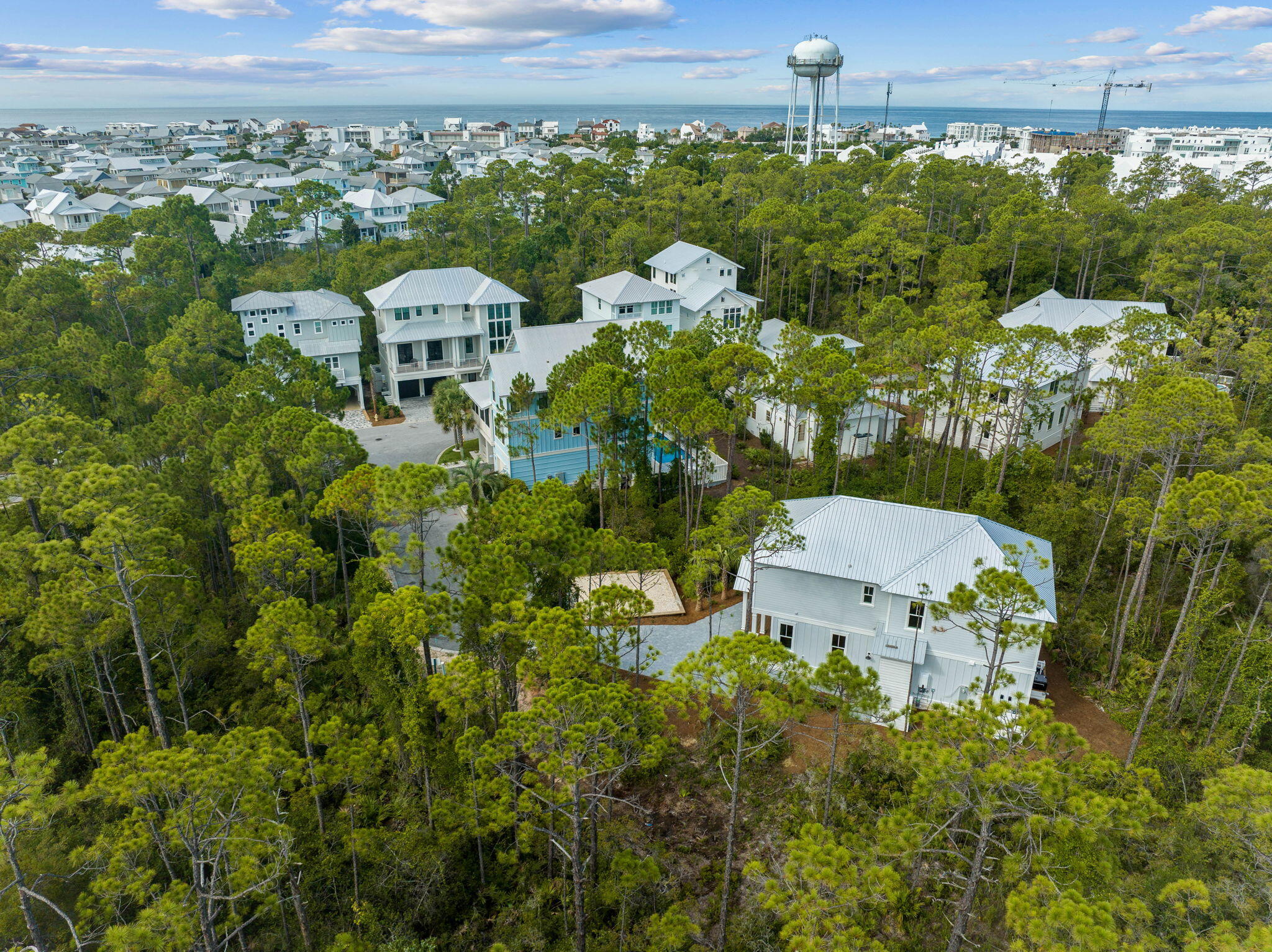 TREETOP - Land