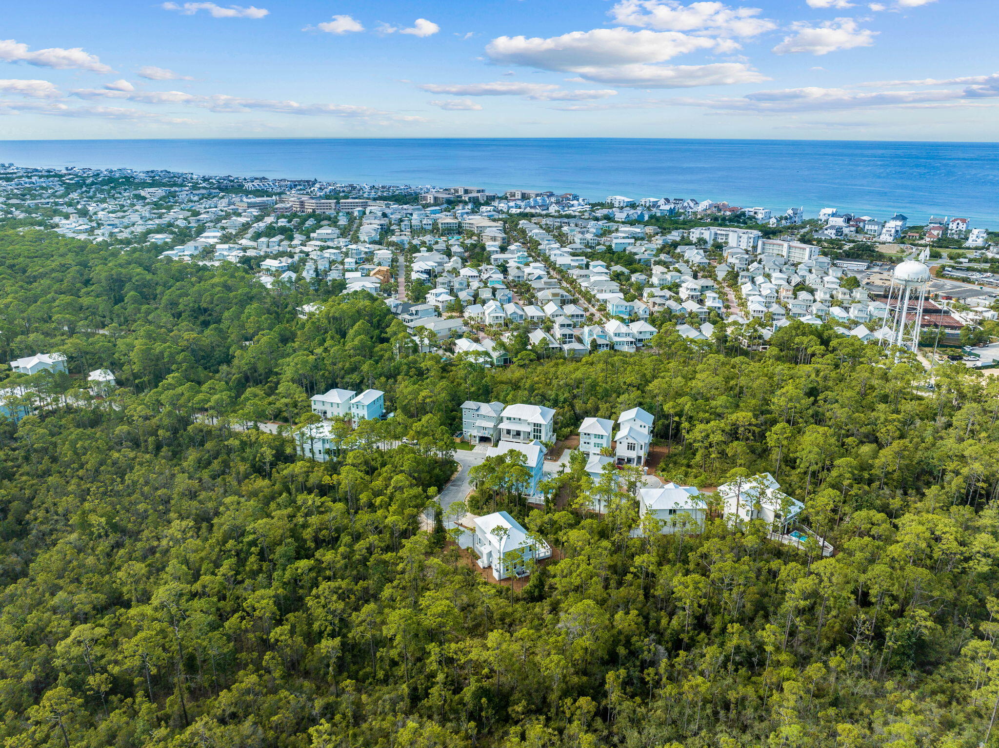 TREETOP - Land