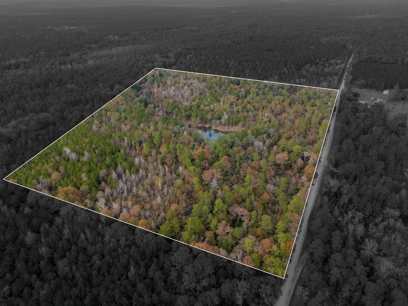 Discover the unparalleled potential of this 50-acre parcel in Baker, perfect for those seeking a peaceful retreat or an exciting new adventure. Whether you're looking to build your dream home, establish a working farm, or create an outdoor haven, this rare find offers the space, privacy, and versatility you need. This expansive property features rolling terrain, mature trees, and a natural water source in the middle of the lot, making it an ideal location for livestock, farming, or simply enjoying nature. Imagine waking up each morning to the sound of birds chirping, with endless opportunities for outdoor activities like hunting, hiking, and ATV riding right in your own backyard.